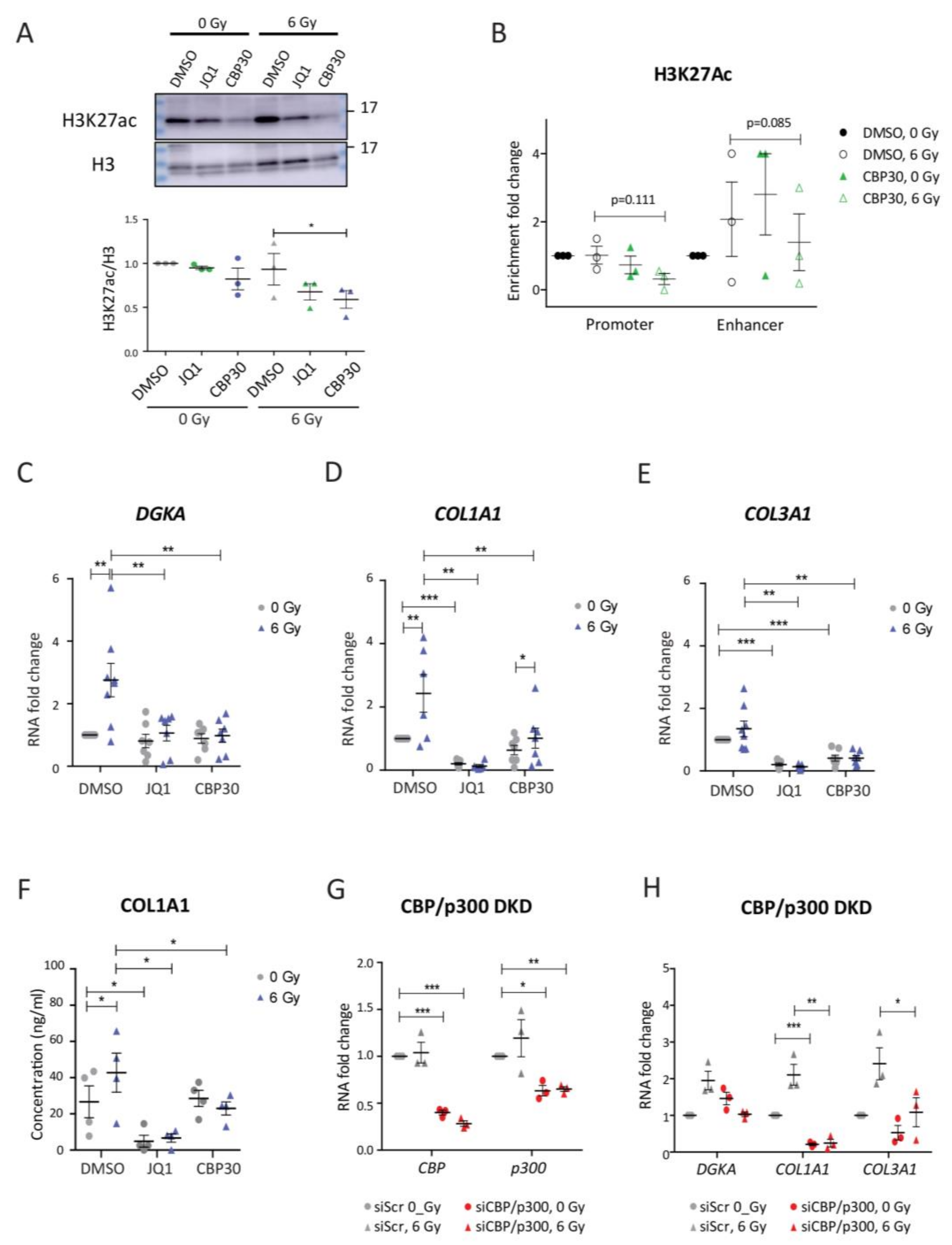 Cancers 13 02455 g005