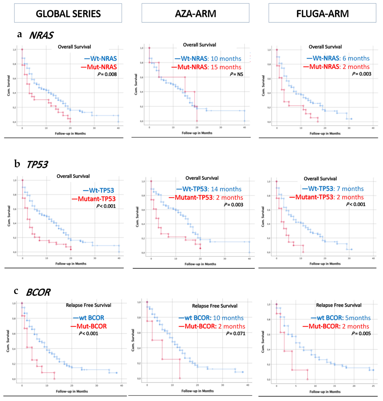 Cancers 13 02458 g002