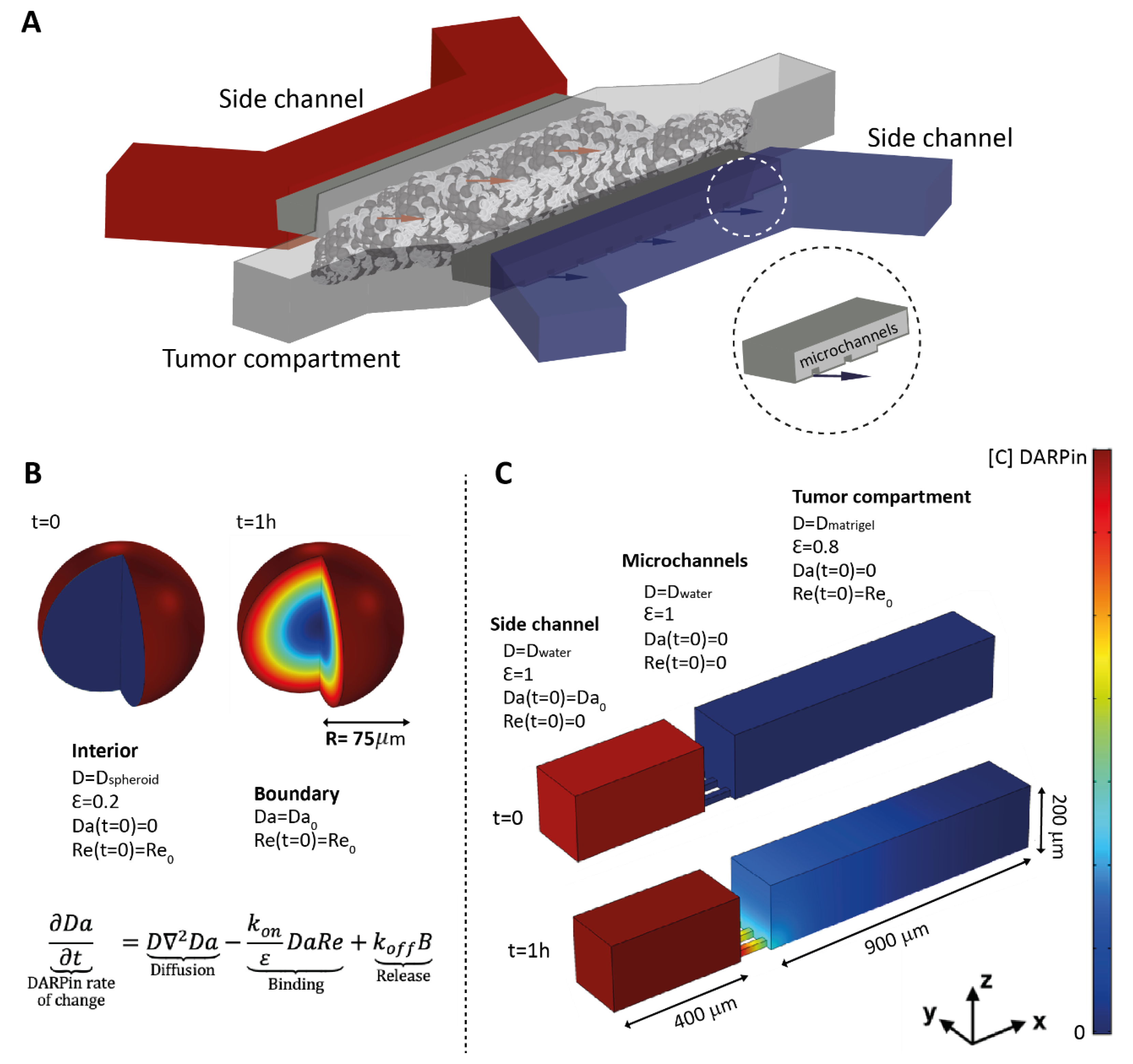 Cancers 13 02461 g001 Cancers 13 02461 g001