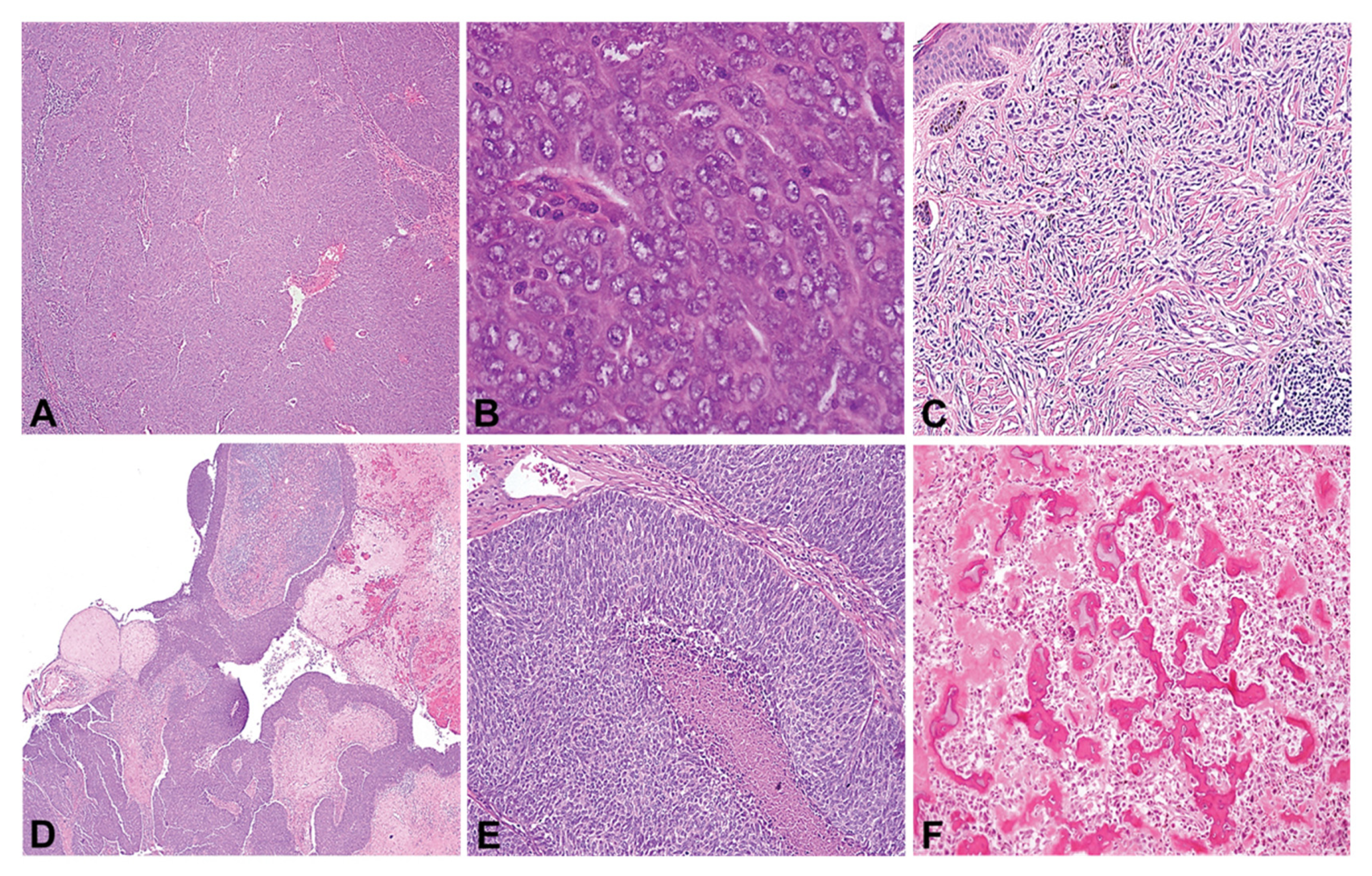 Cancers 13 02472 g001 Cancers 13 02472 g001