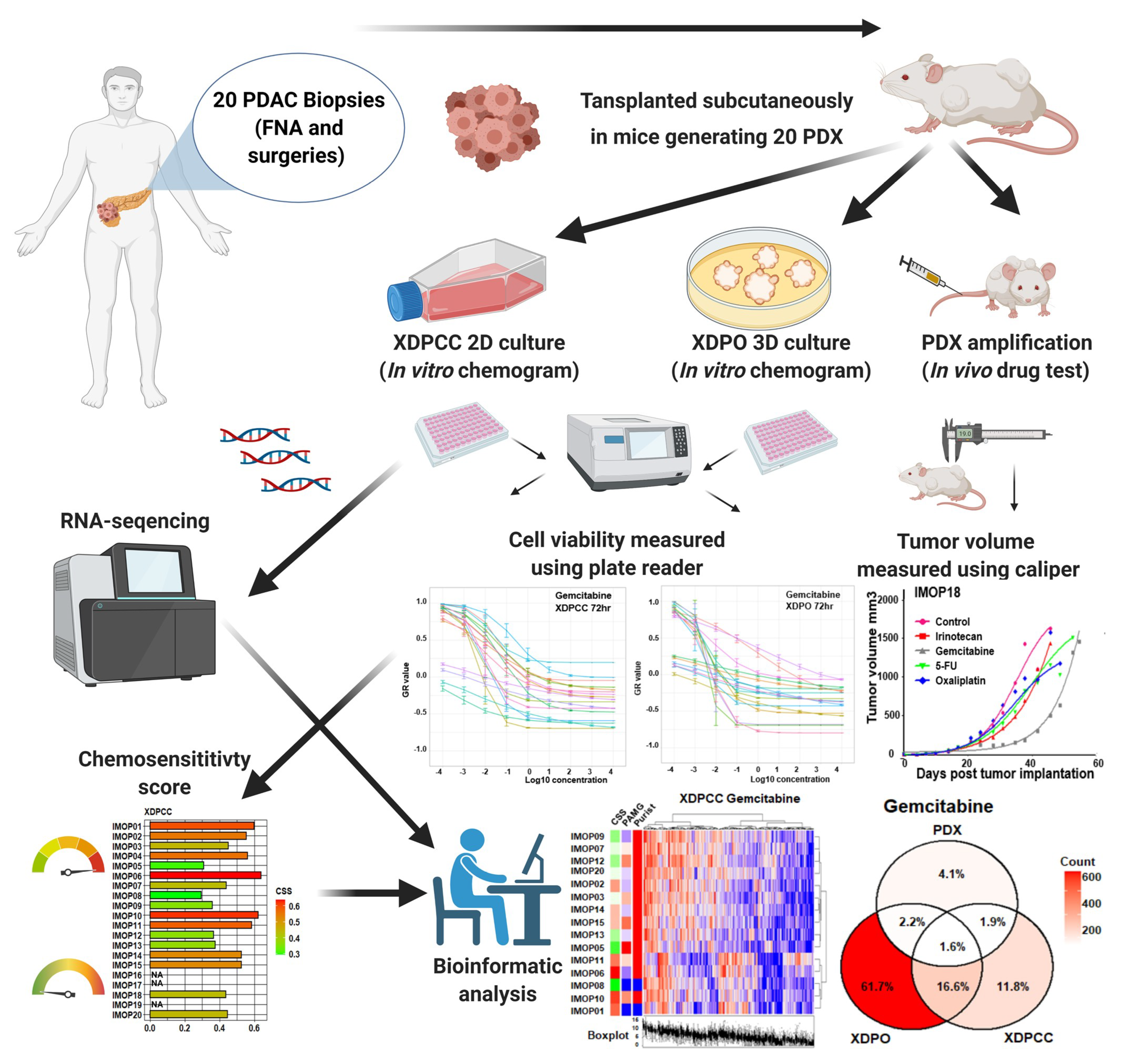 Cancers 13 02473 g001 Cancers 13 02473 g001