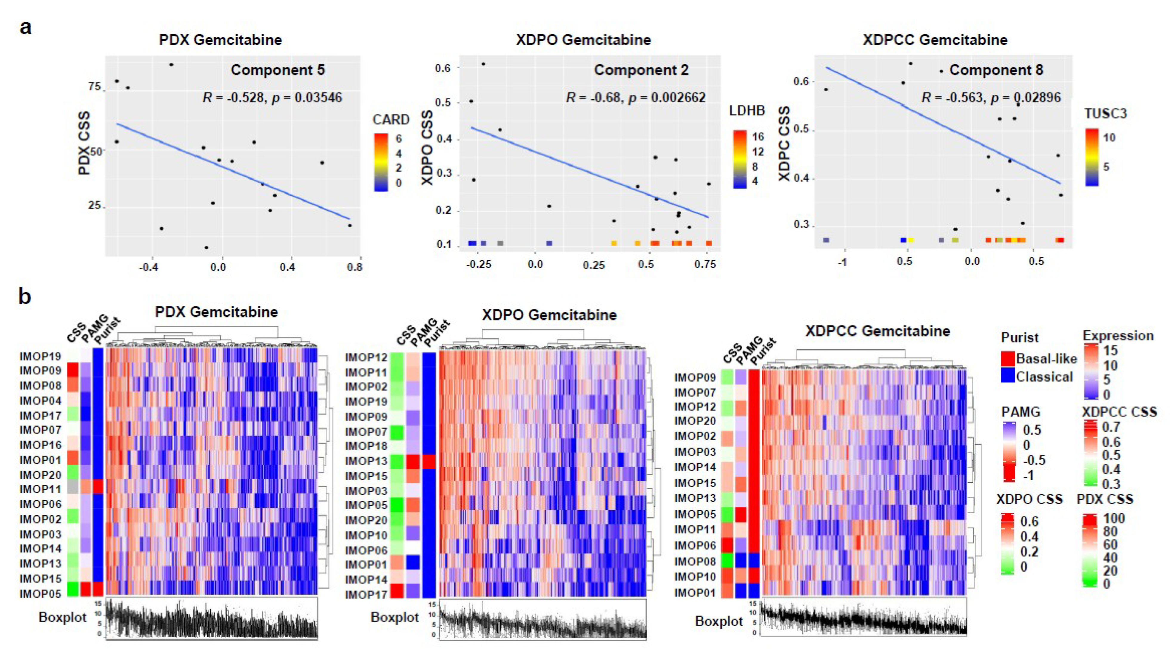 Cancers 13 02473 g004 Cancers 13 02473 g004