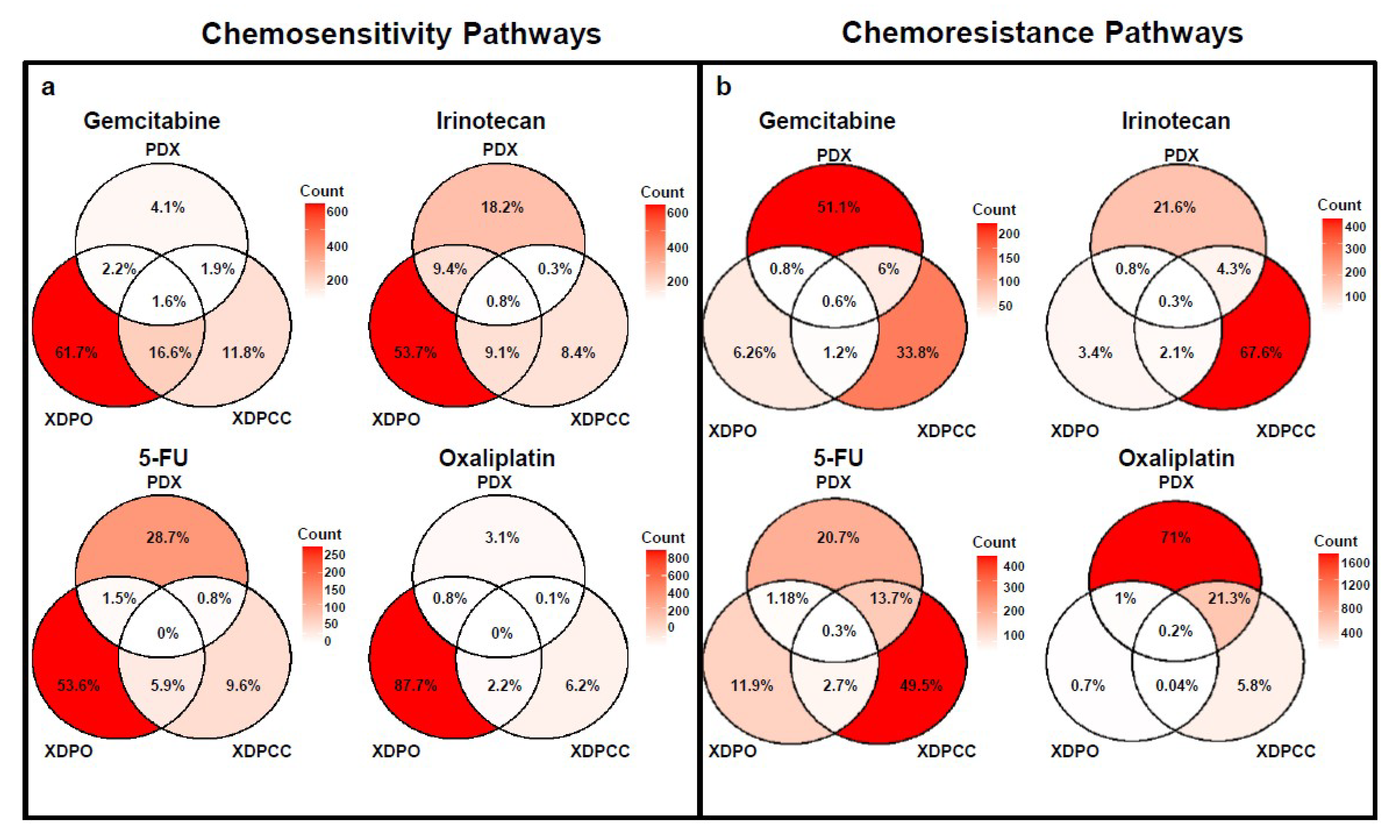 Cancers 13 02473 g005 Cancers 13 02473 g005