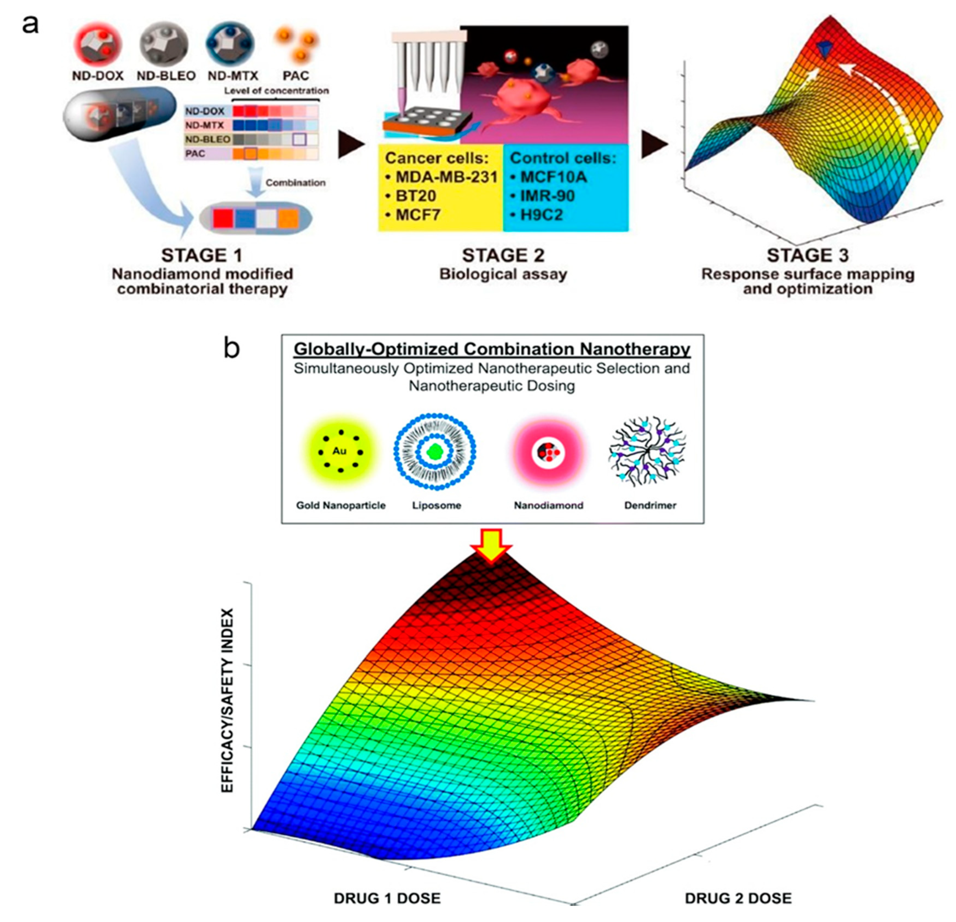 Cancers 13 02481 g002 Cancers 13 02481 g002