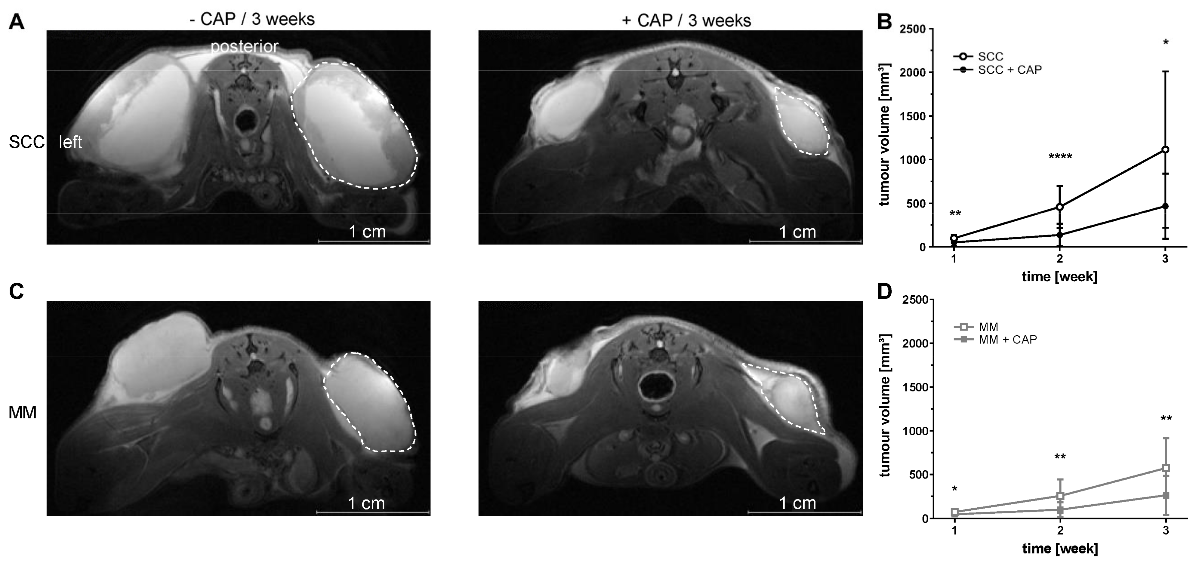 Cancers 13 02483 g002