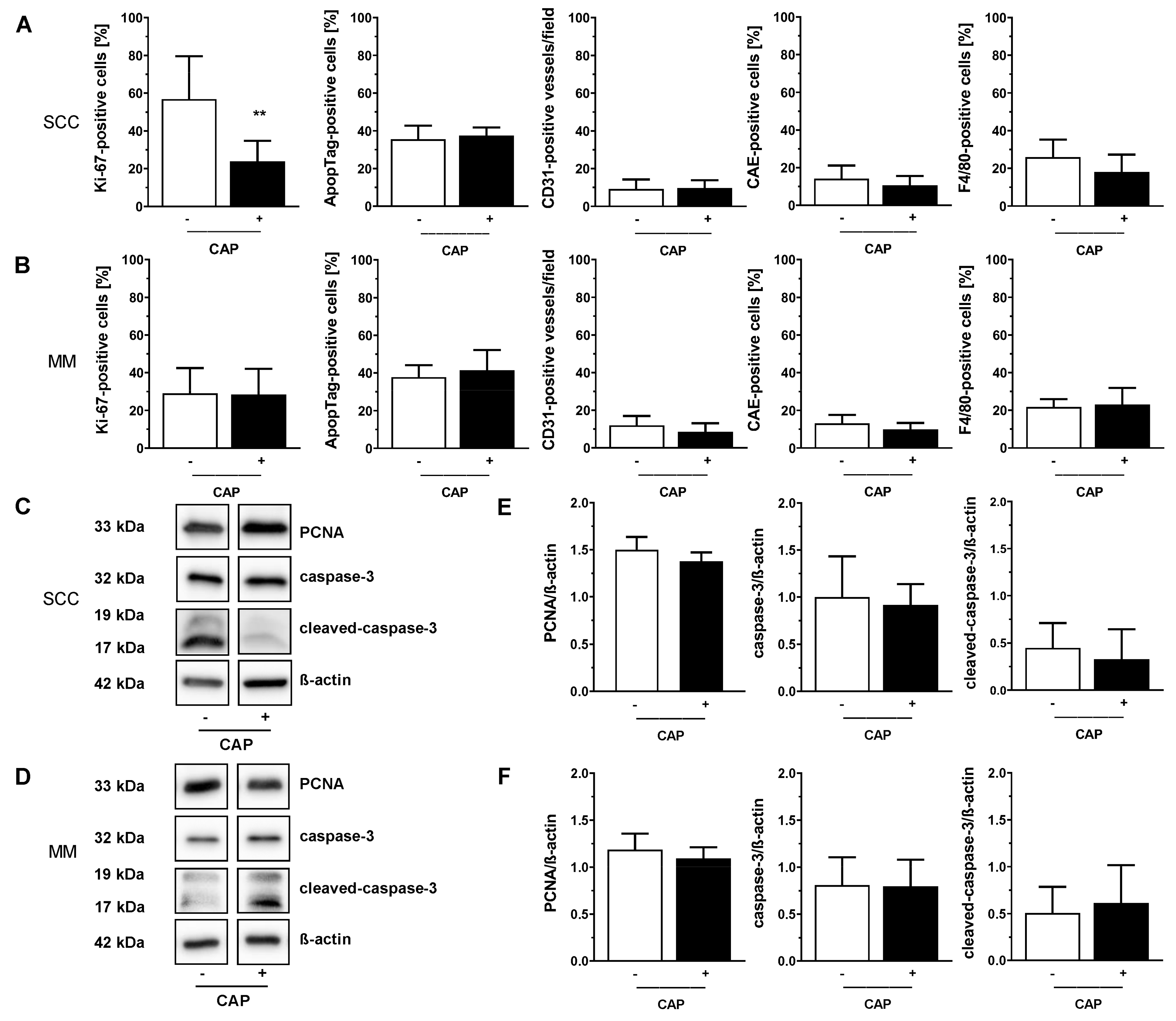 Cancers 13 02483 g005