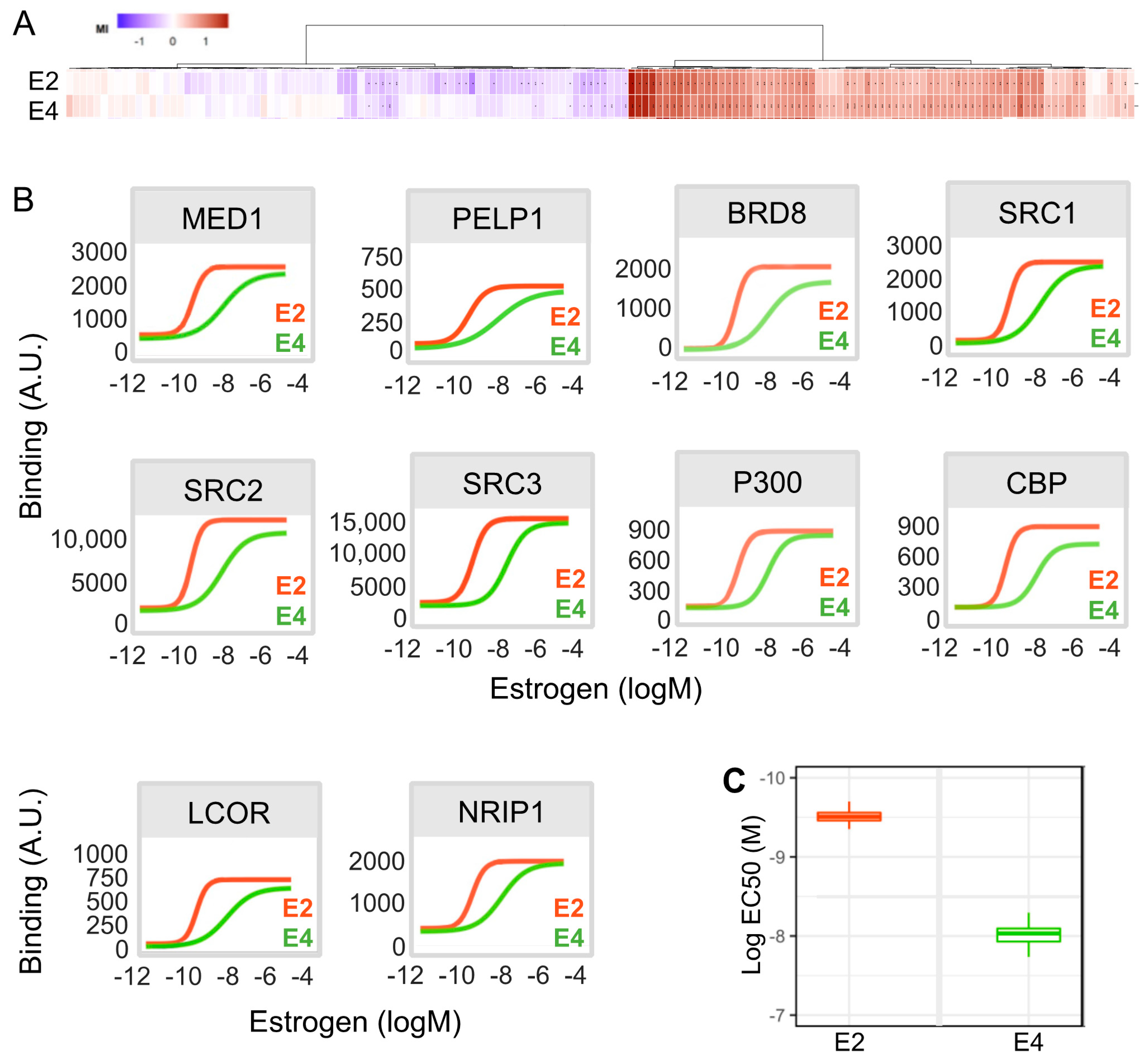 Cancers 13 02486 g007 Cancers 13 02486 g007