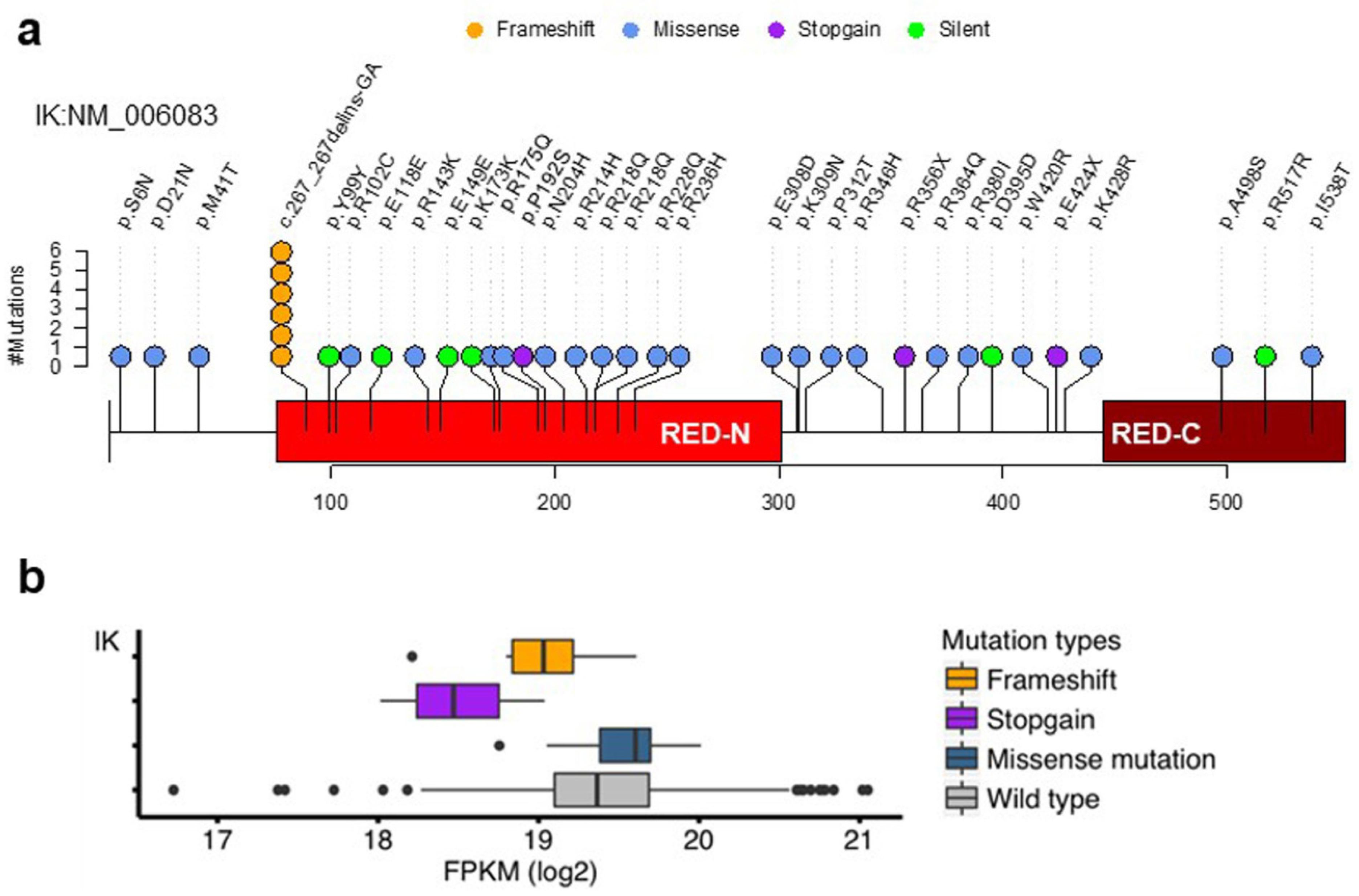 Cancers 13 02487 g001 Cancers 13 02487 g001