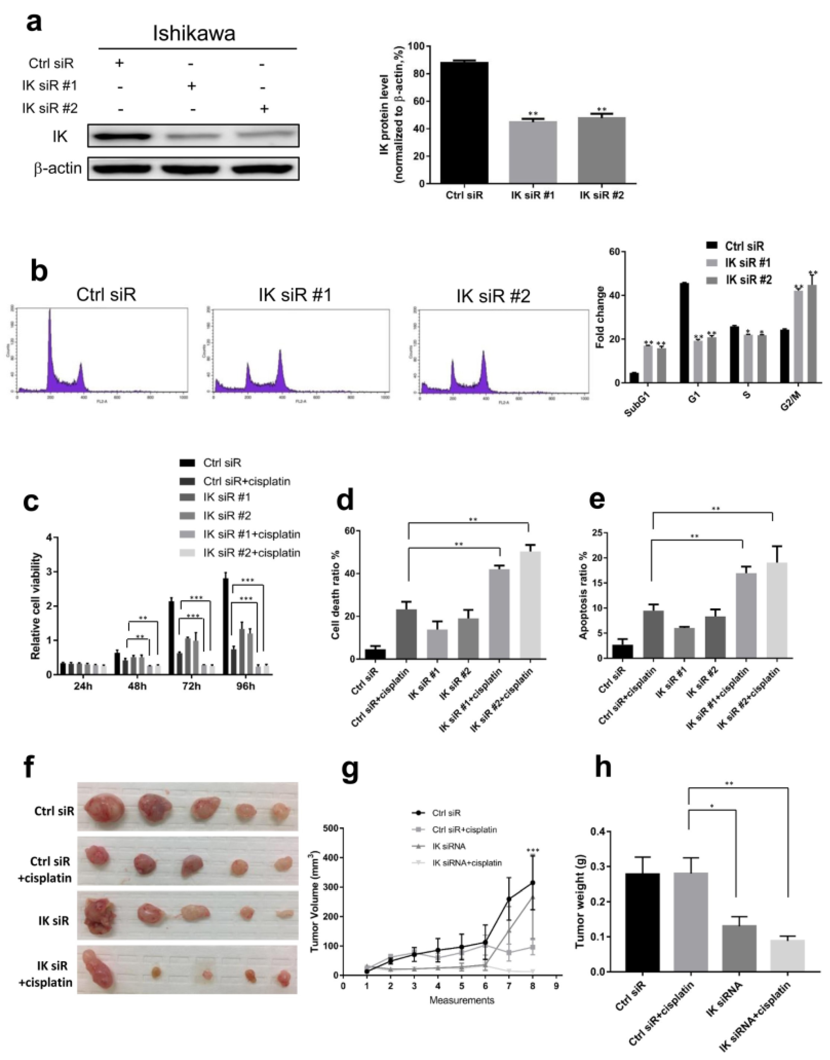 Cancers 13 02487 g002 Cancers 13 02487 g002