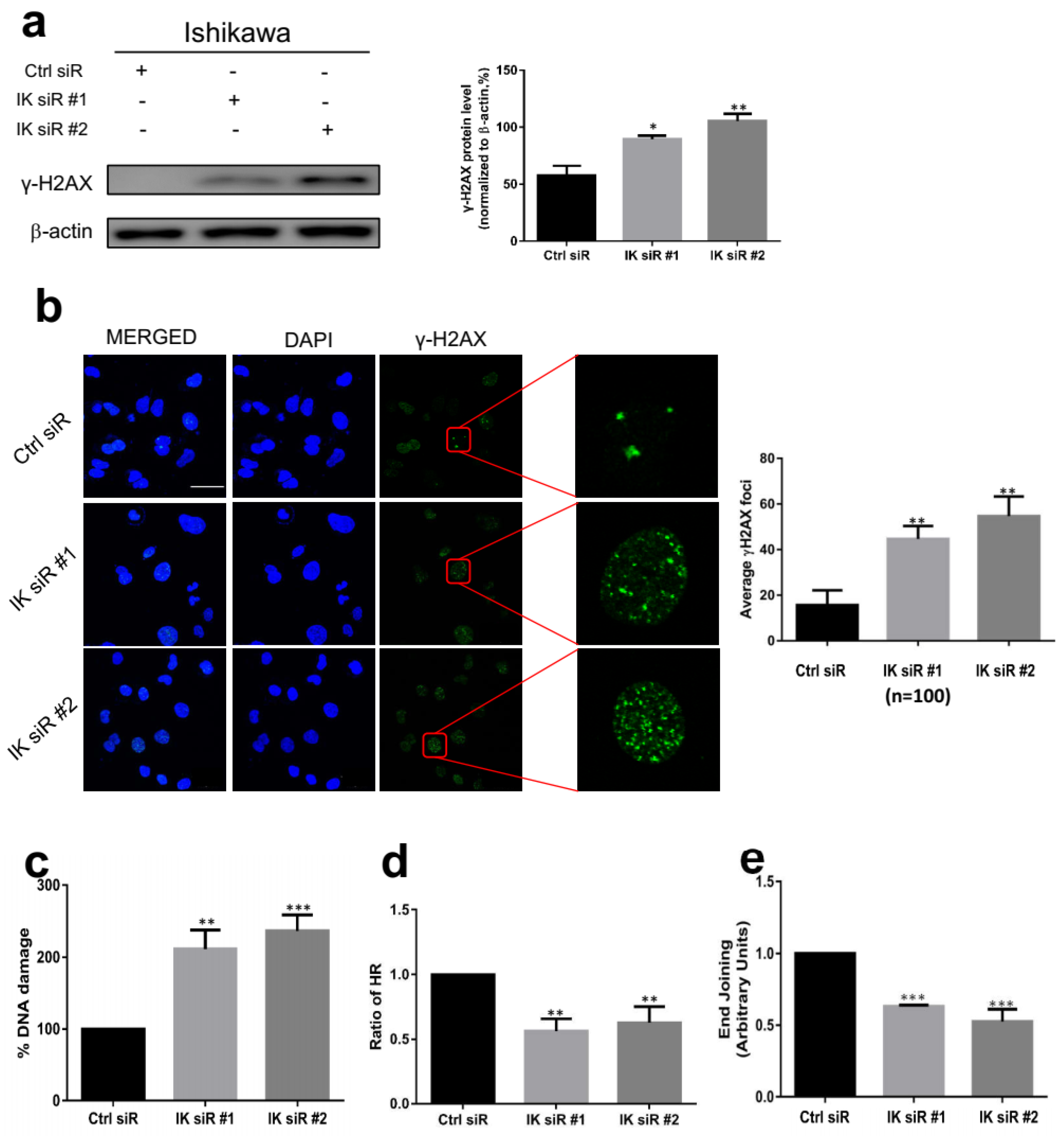 Cancers 13 02487 g004 Cancers 13 02487 g004