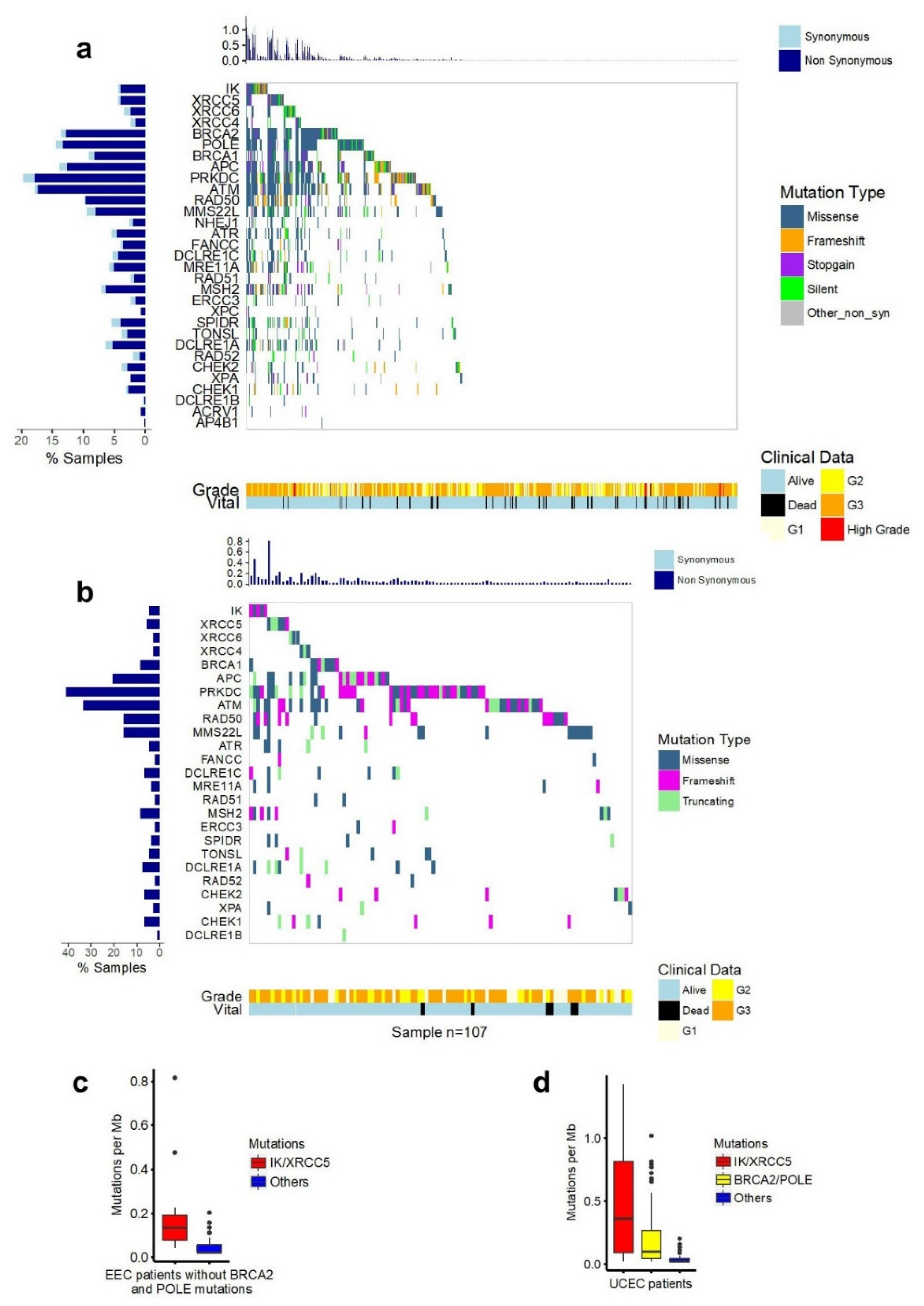 Cancers 13 02487 g005 Cancers 13 02487 g005