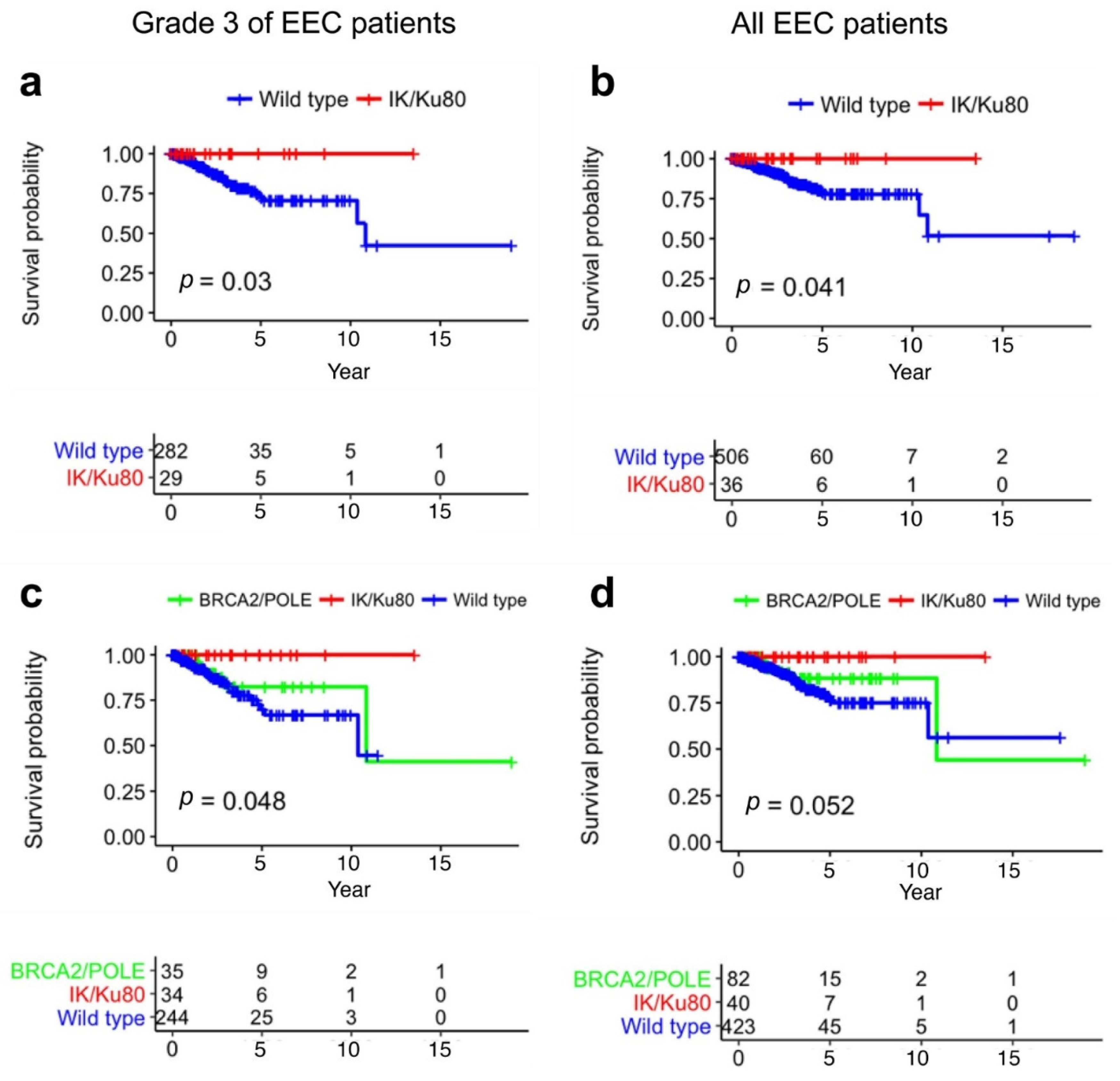 Cancers 13 02487 g006 Cancers 13 02487 g006