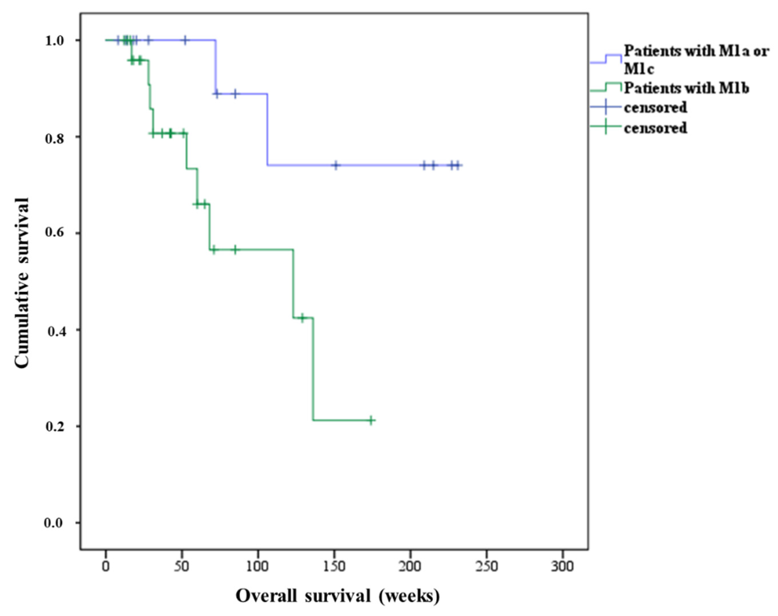 Cancers 13 02489 g003 Cancers 13 02489 g003