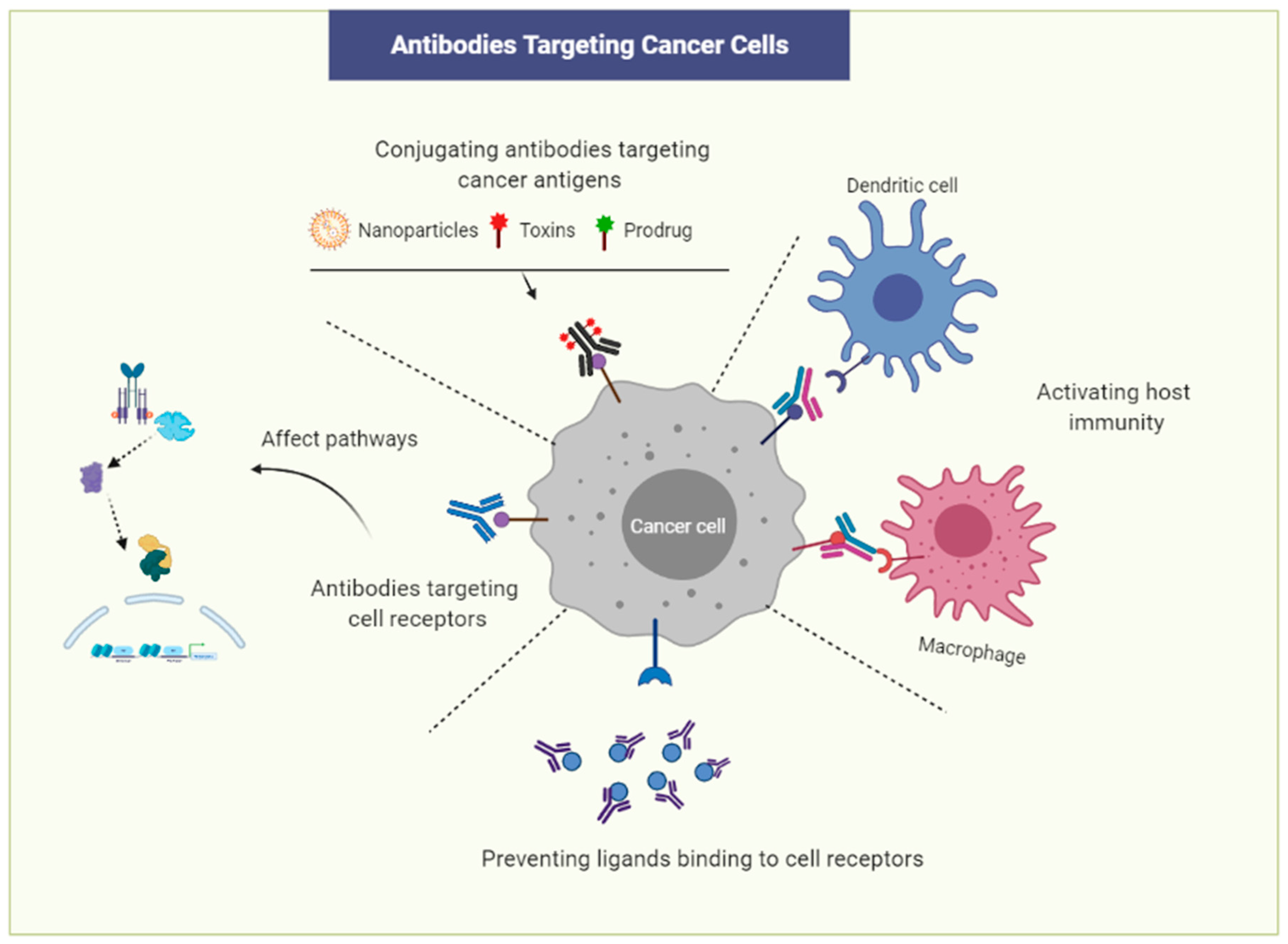 Cancers 13 02491 g001 Cancers 13 02491 g001