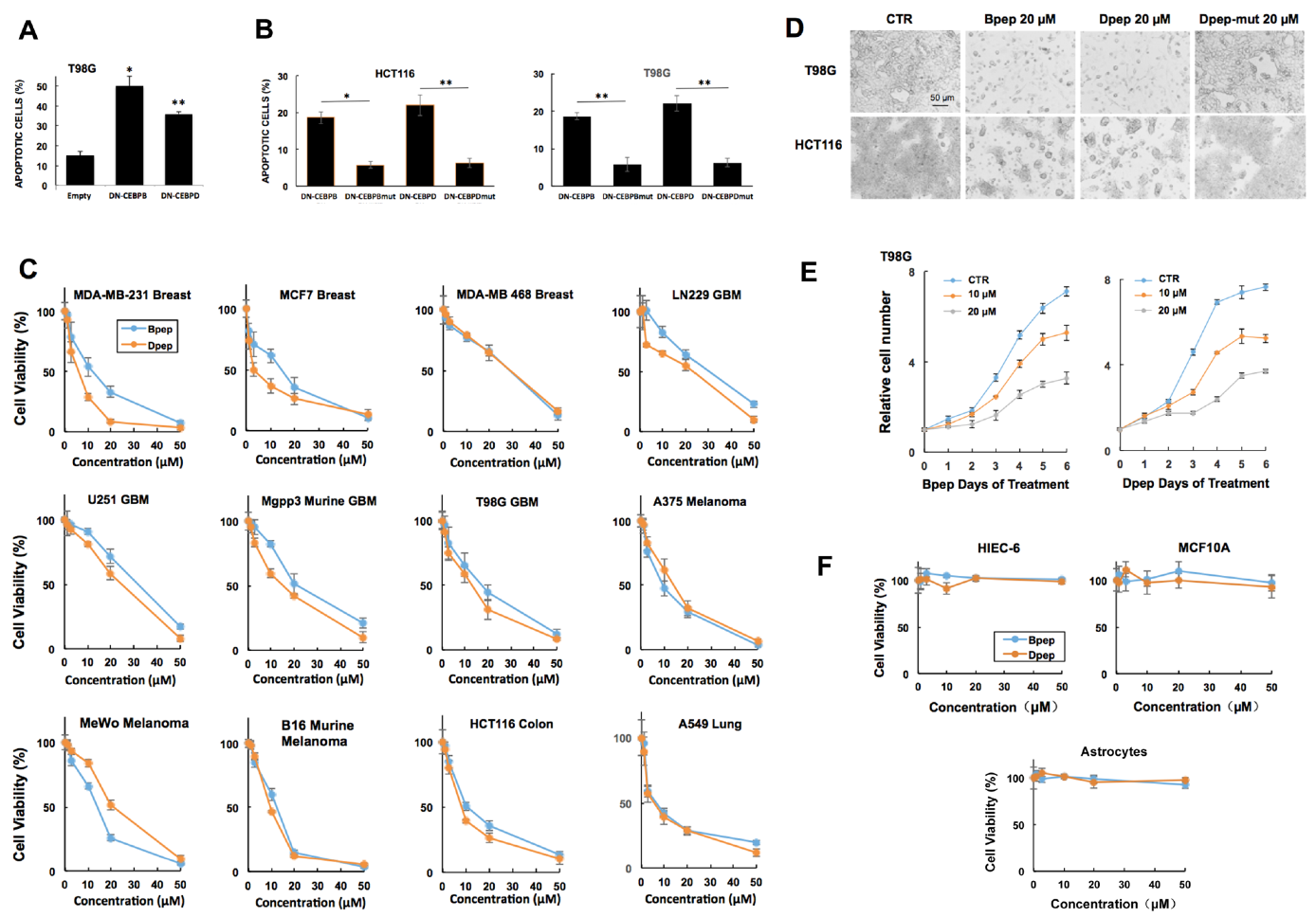Cancers 13 02504 g001