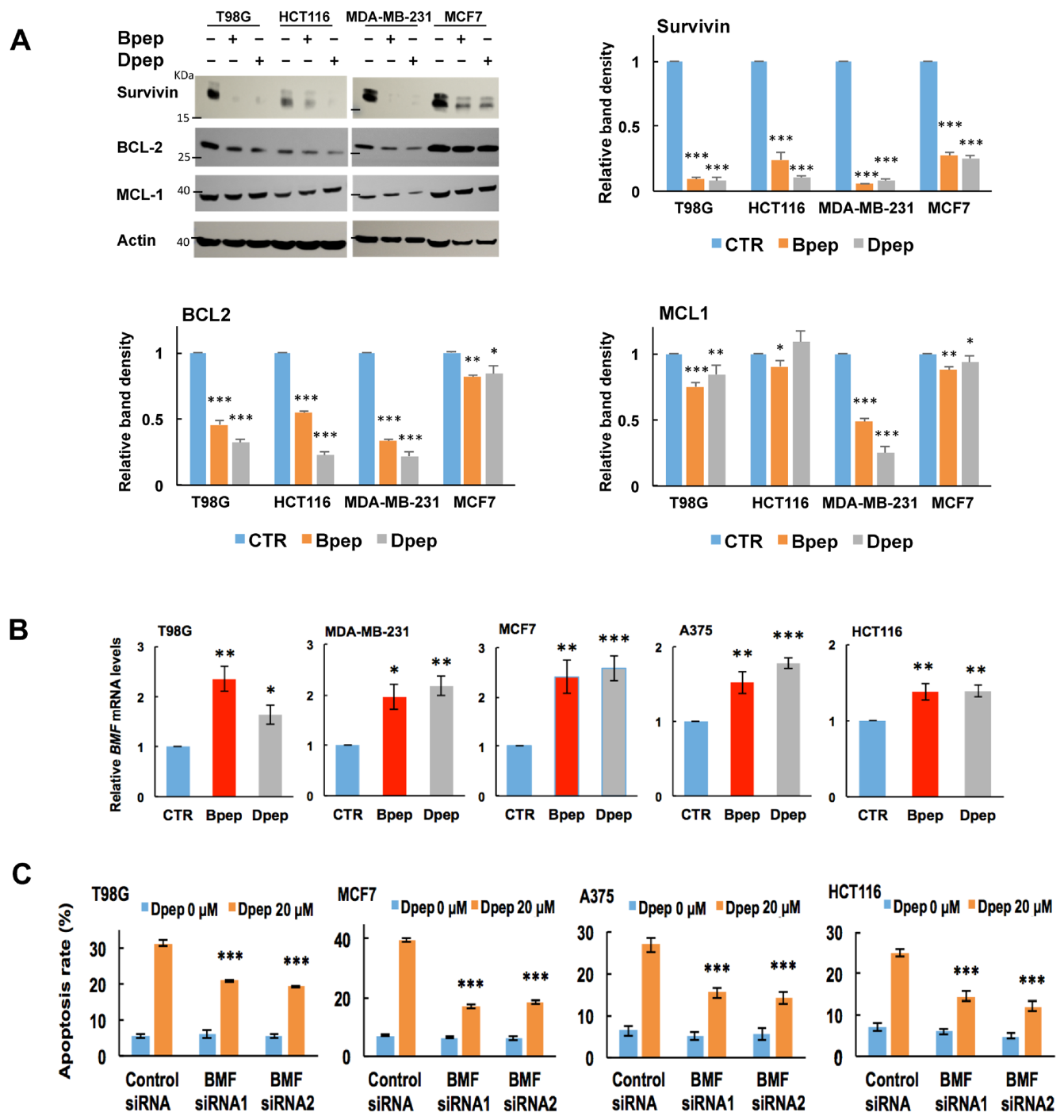Cancers 13 02504 g005