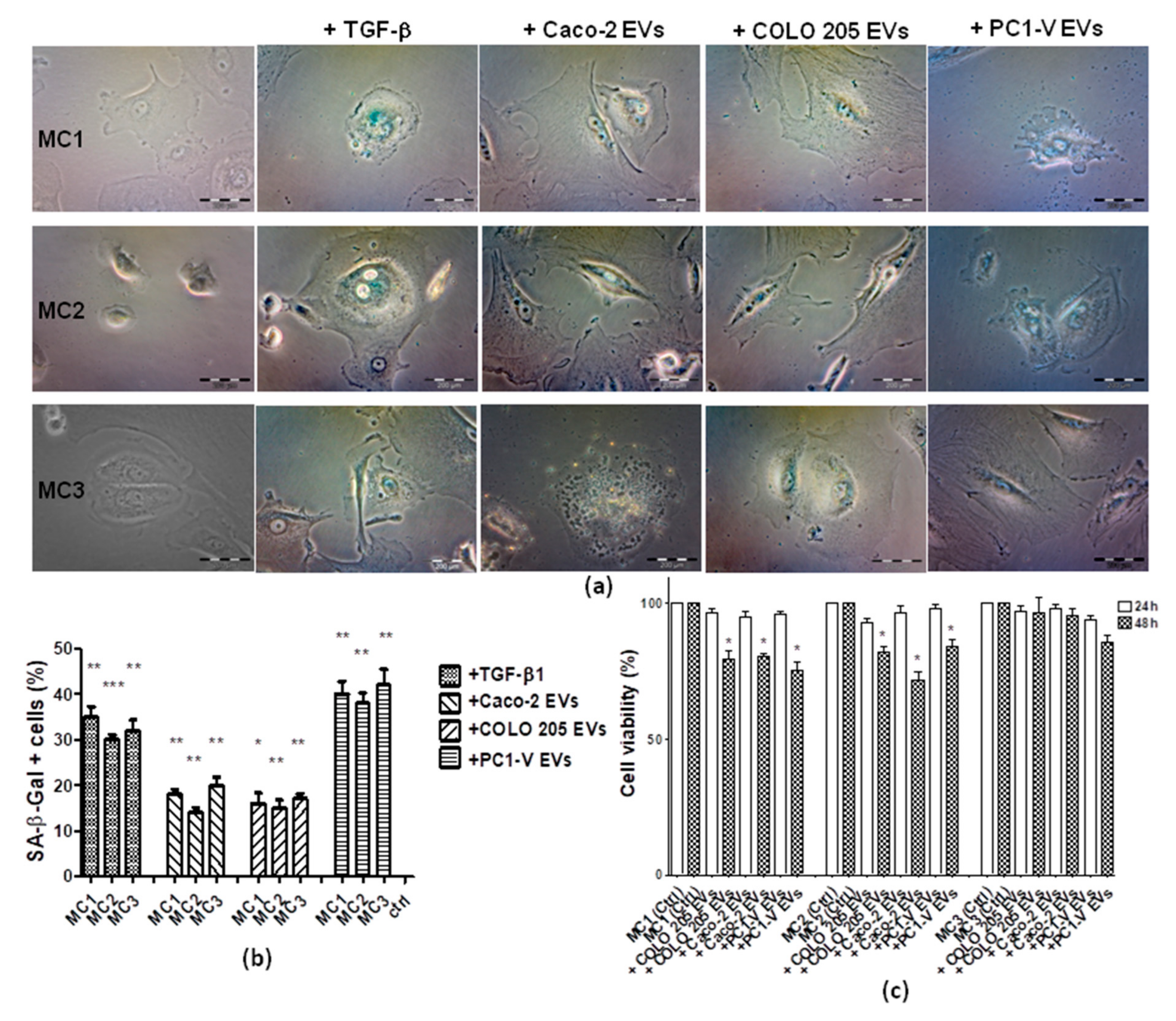 Cancers 13 02505 g006 Cancers 13 02505 g006