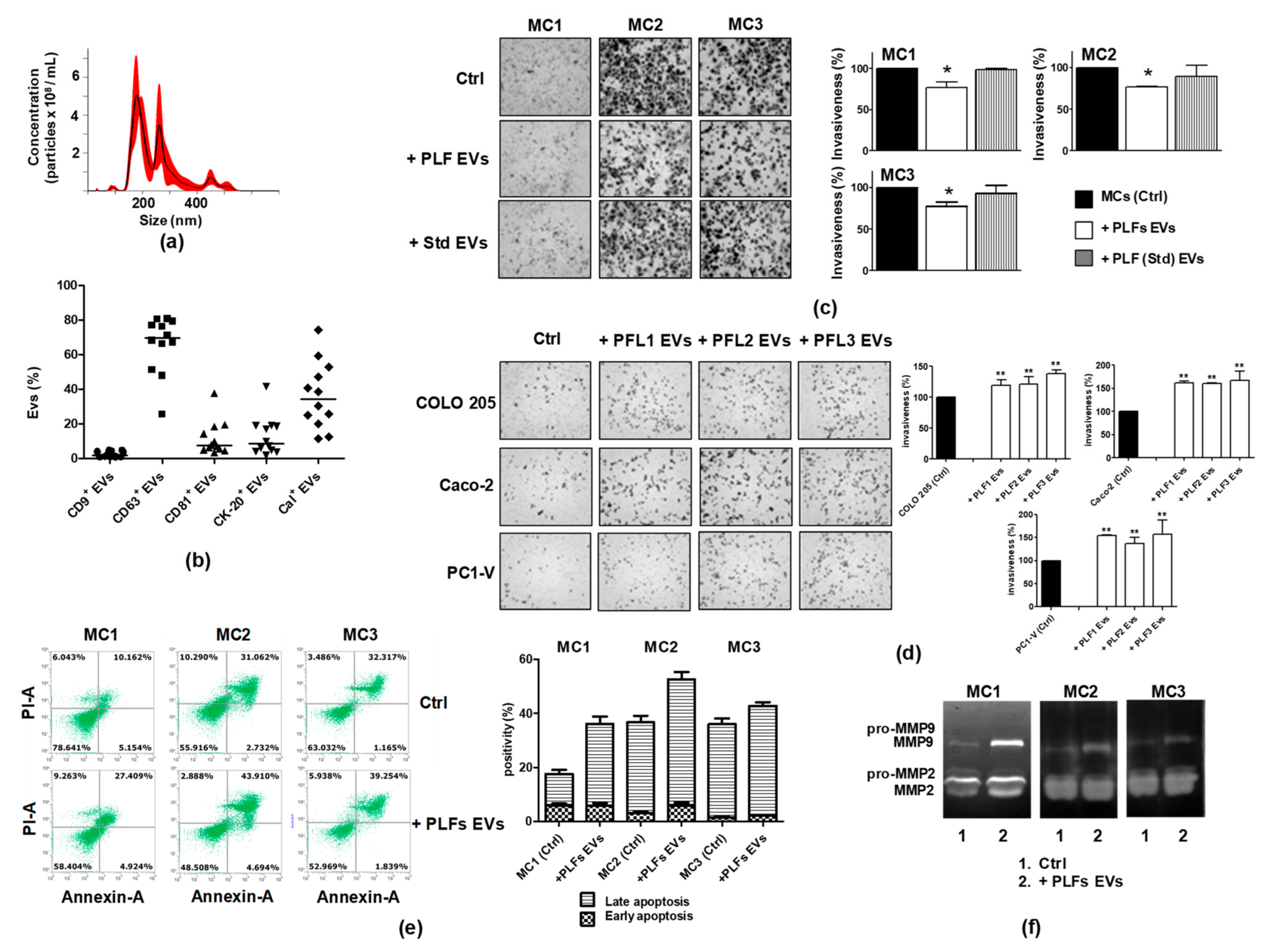 Cancers 13 02505 g007 Cancers 13 02505 g007