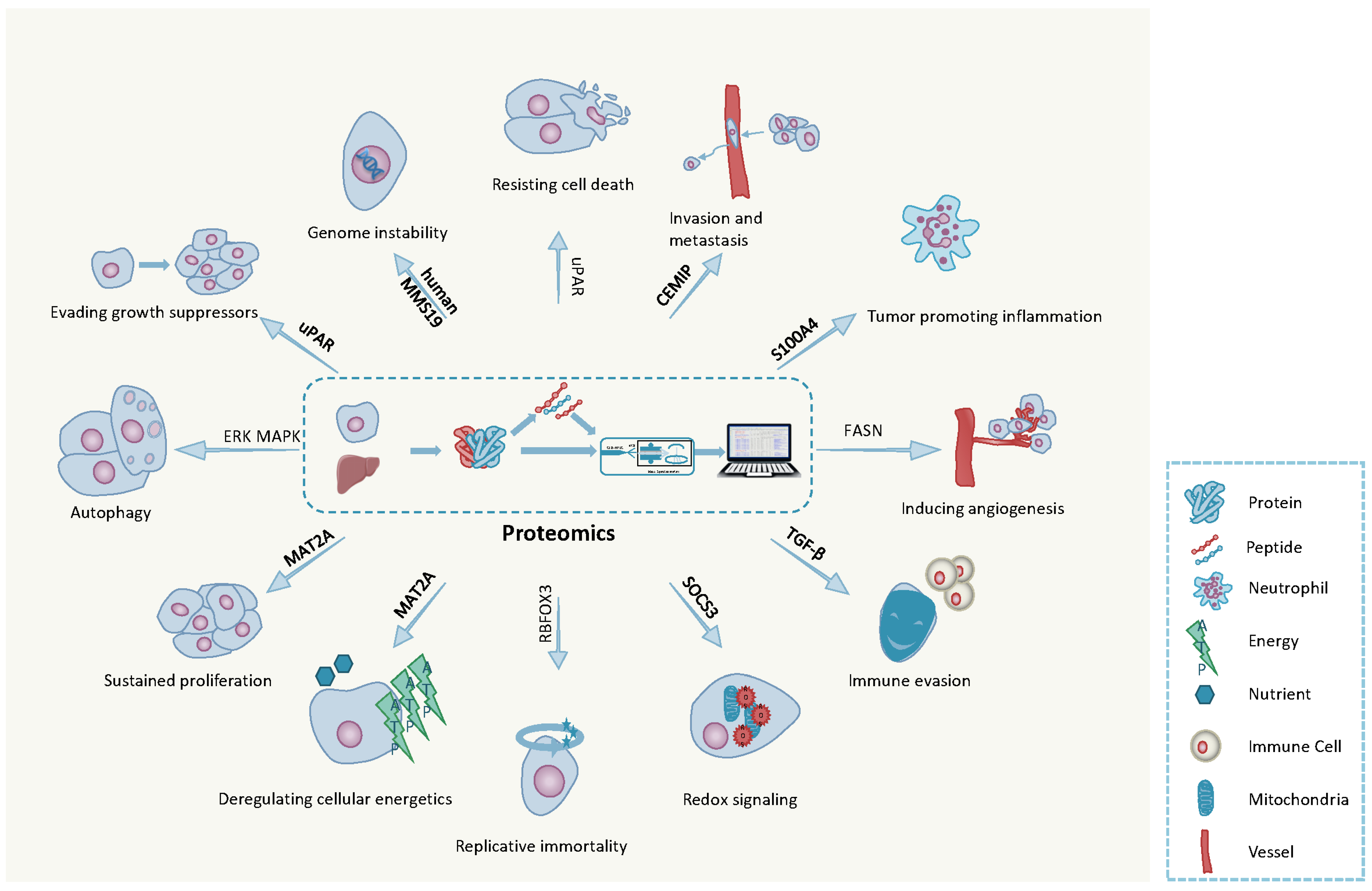 Cancers 13 02512 g003