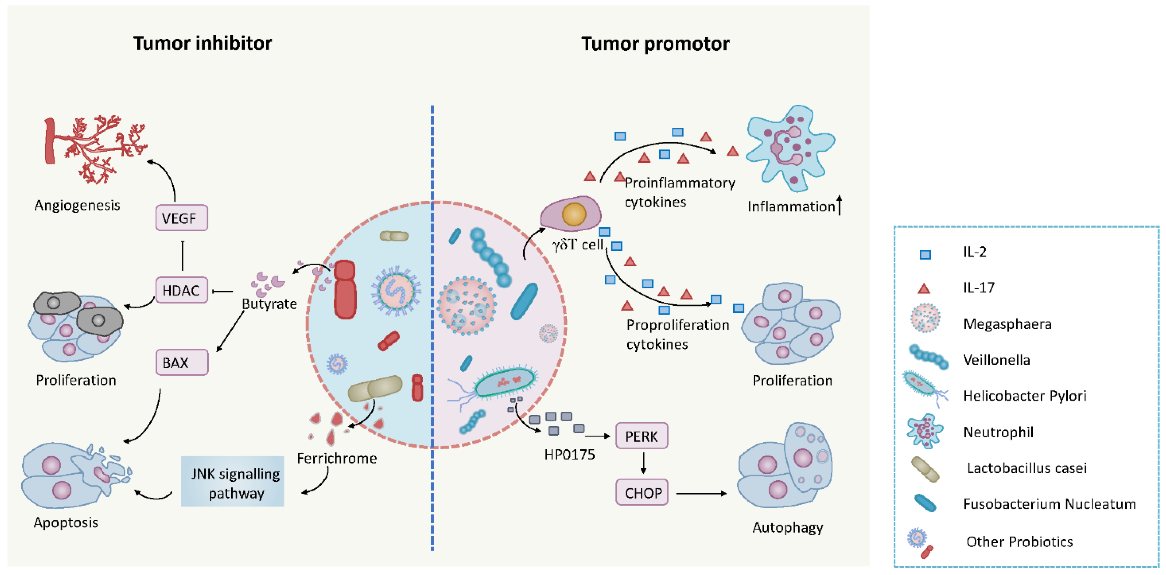 Cancers 13 02512 g004
