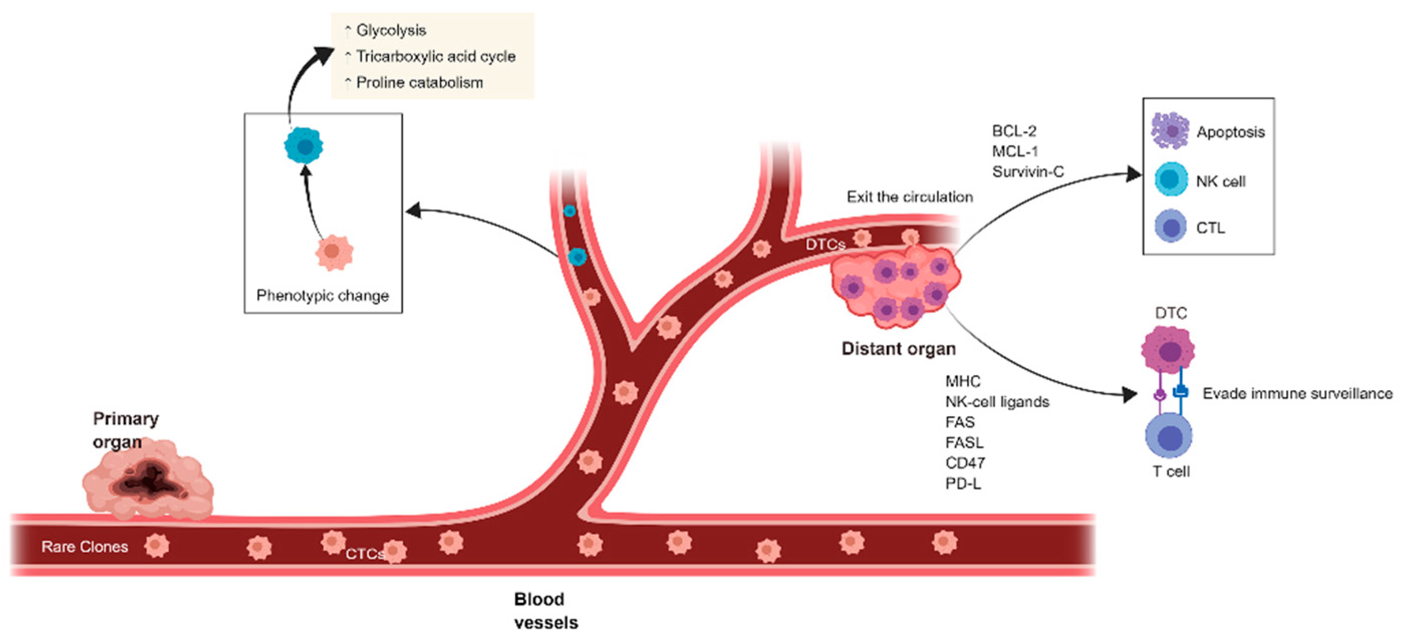 Cancers 13 02515 g001