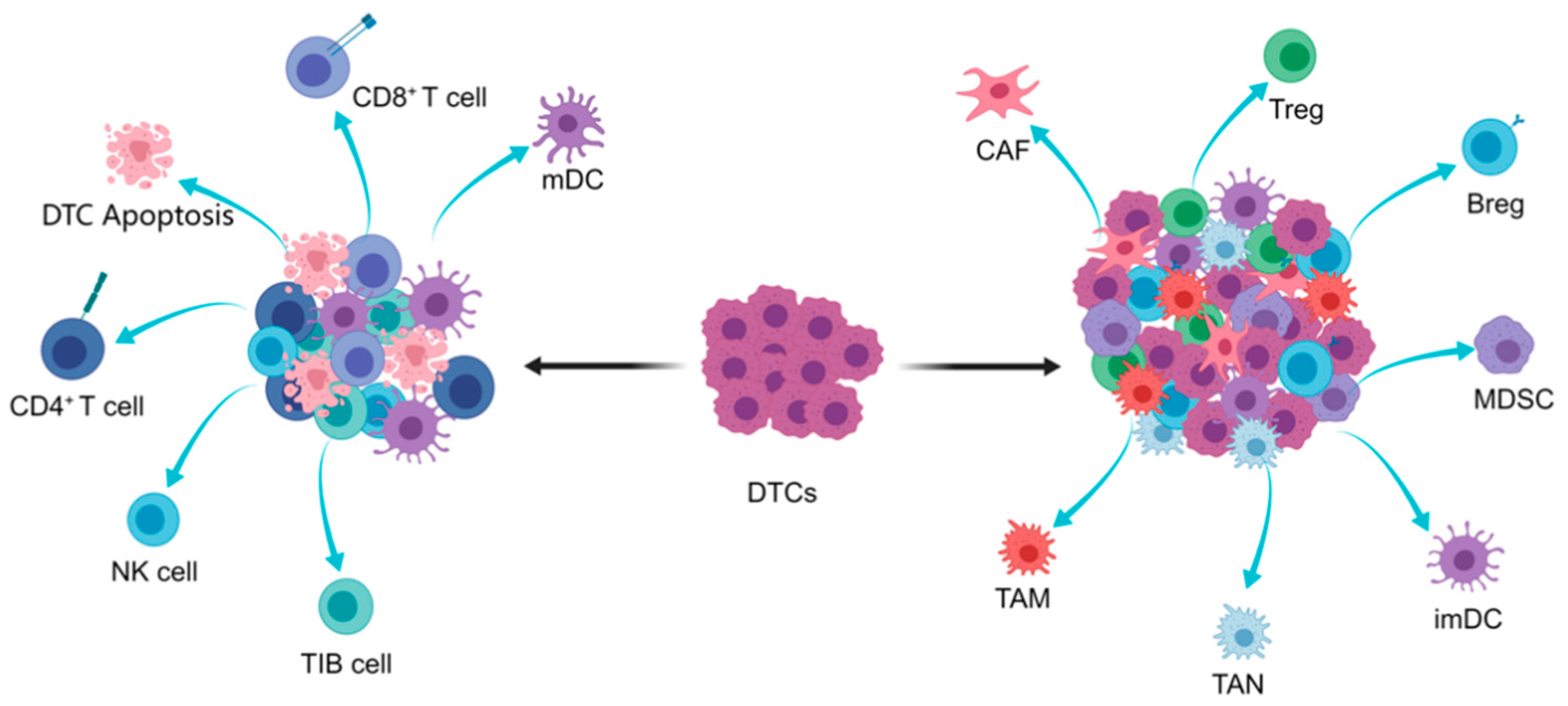 Cancers 13 02515 g002