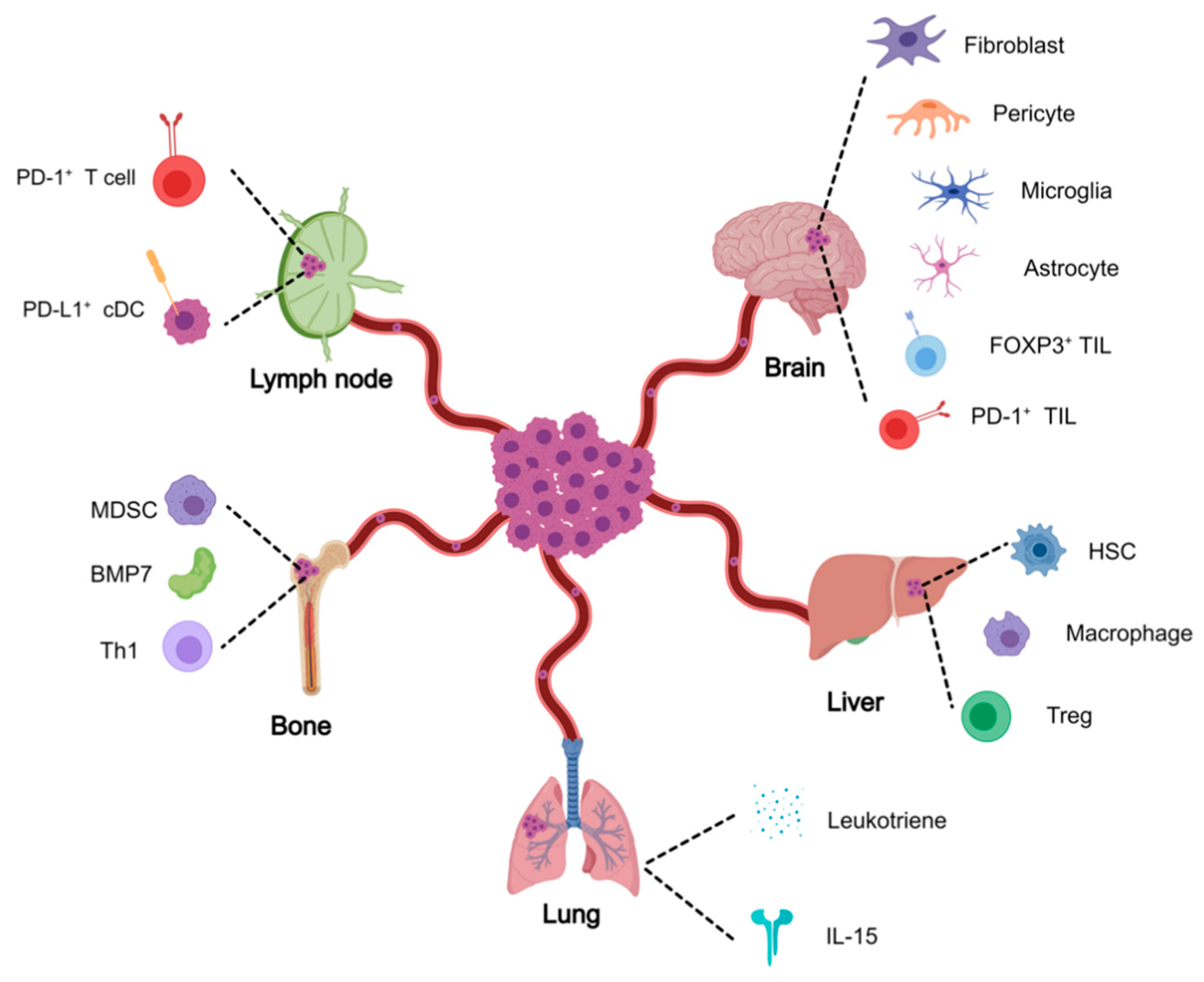 Cancers 13 02515 g003