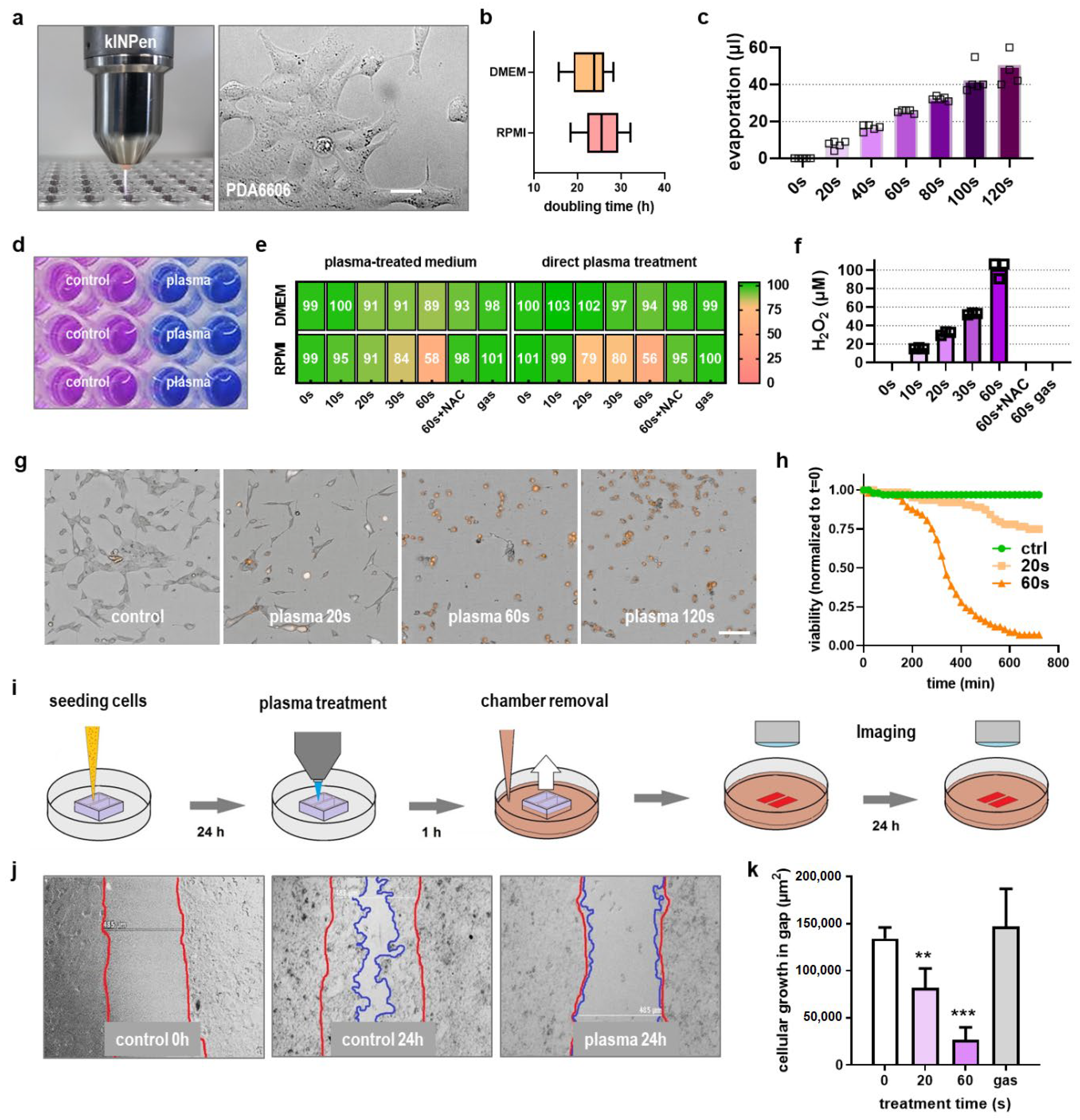 Cancers 13 02525 g001 Cancers 13 02525 g001