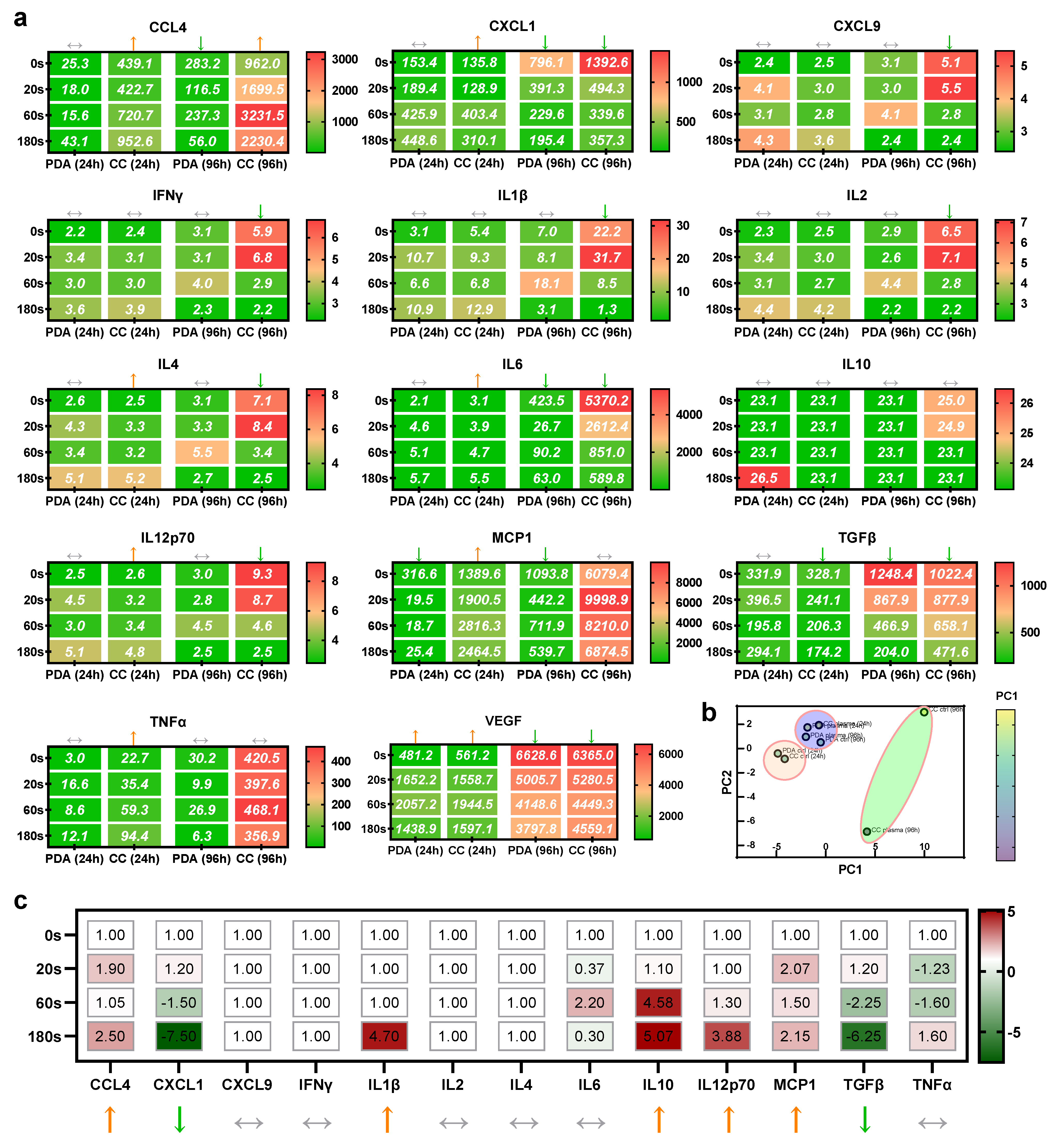 Cancers 13 02525 g004 Cancers 13 02525 g004