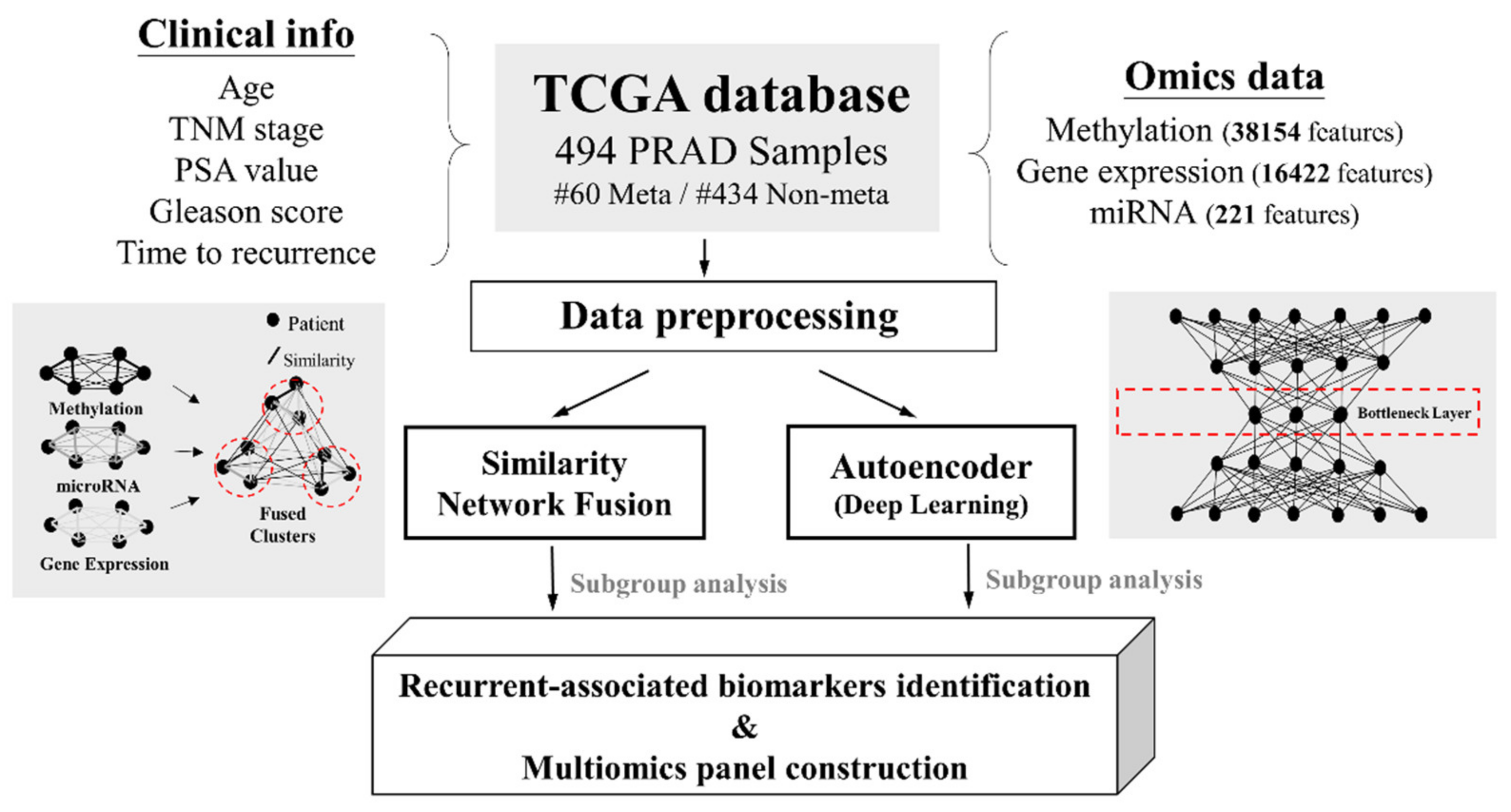 Cancers 13 02528 g001 Cancers 13 02528 g001