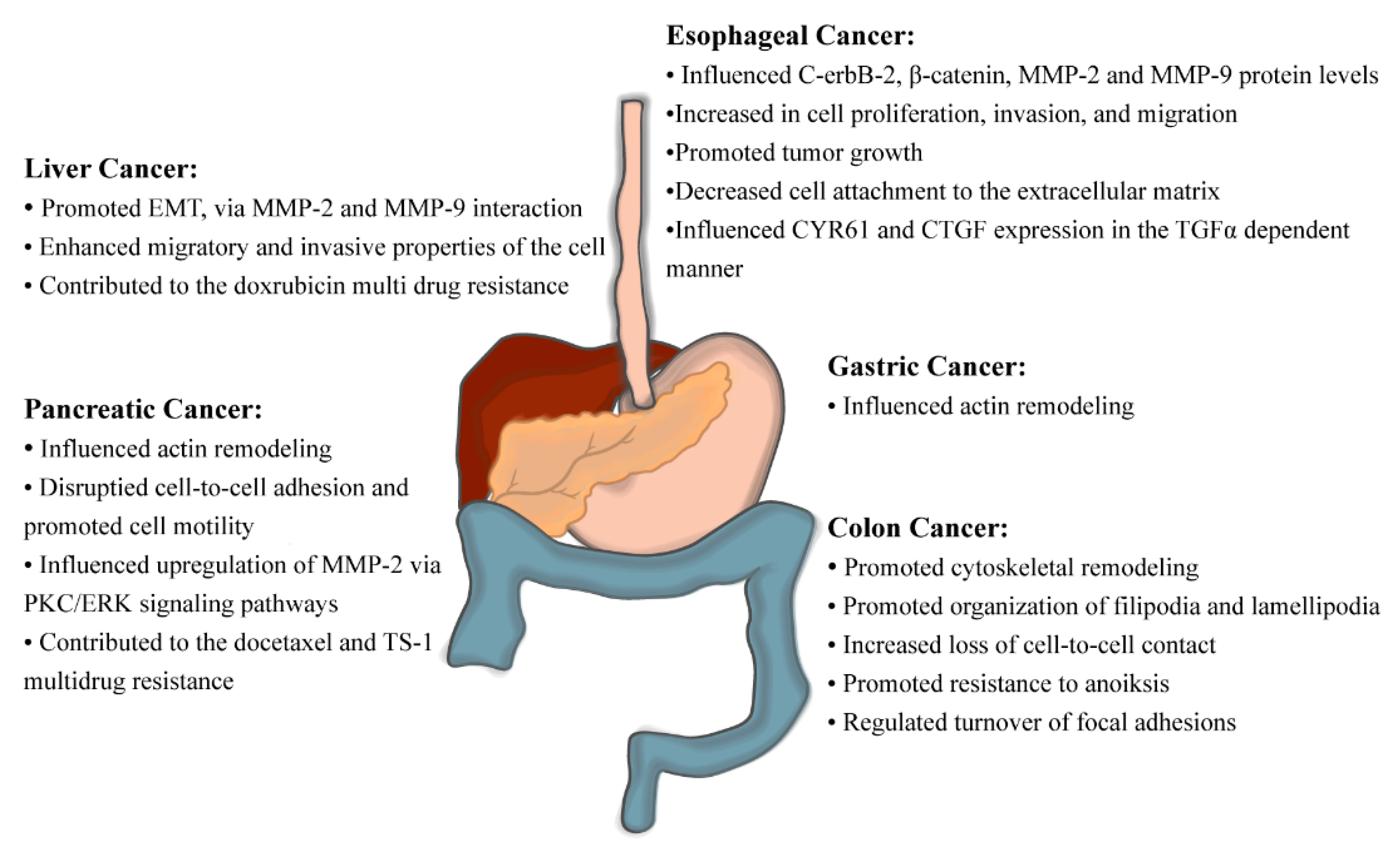 Cancers 13 02536 g004