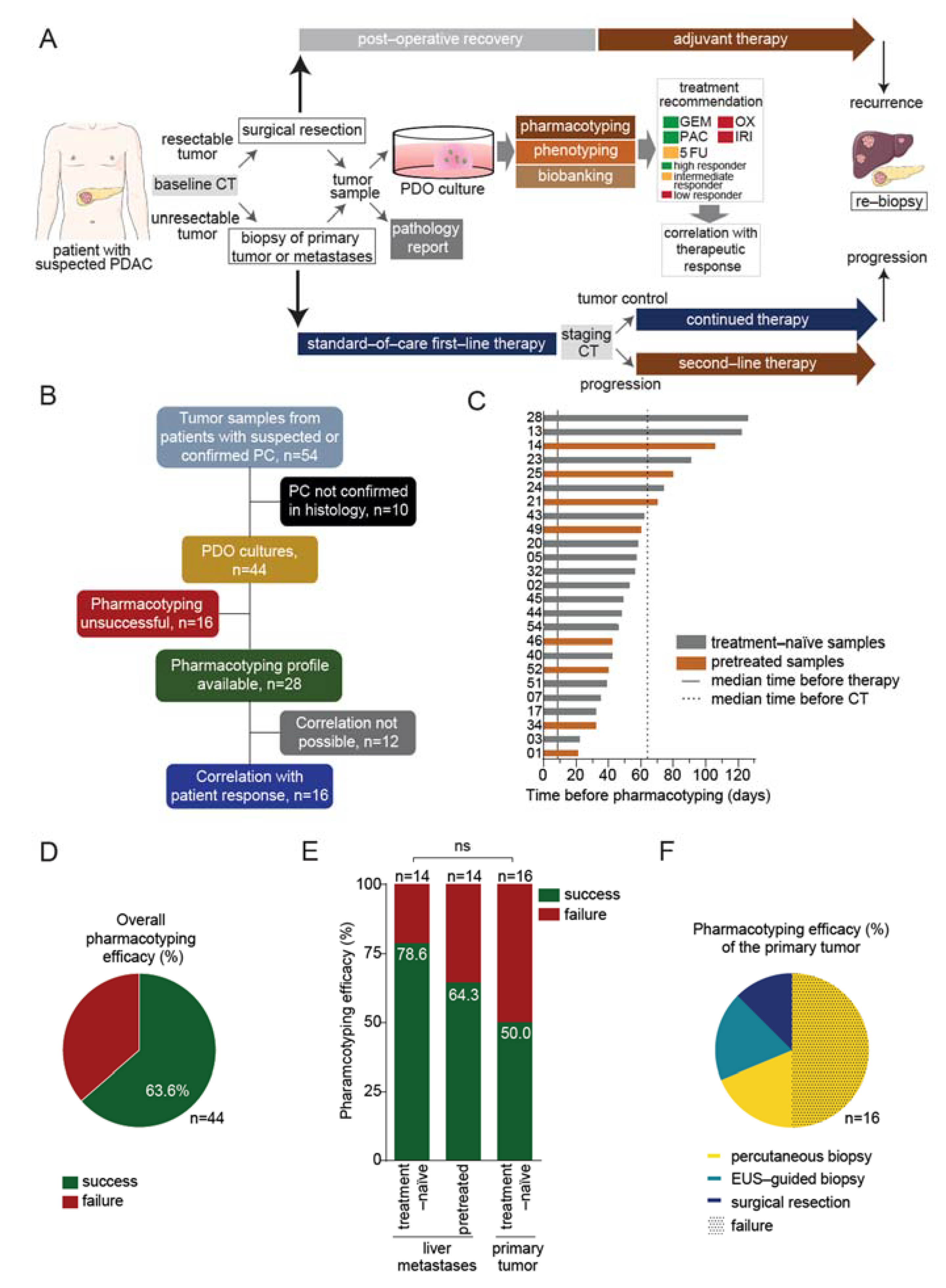 Cancers 13 02539 g001 Cancers 13 02539 g001