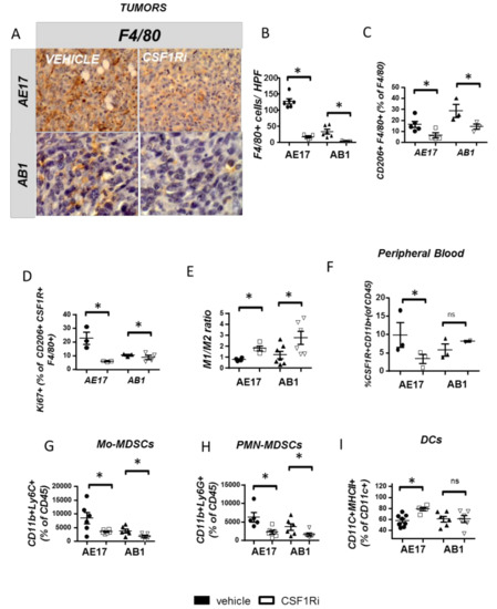 what foods cause apoptosis in cancer cells