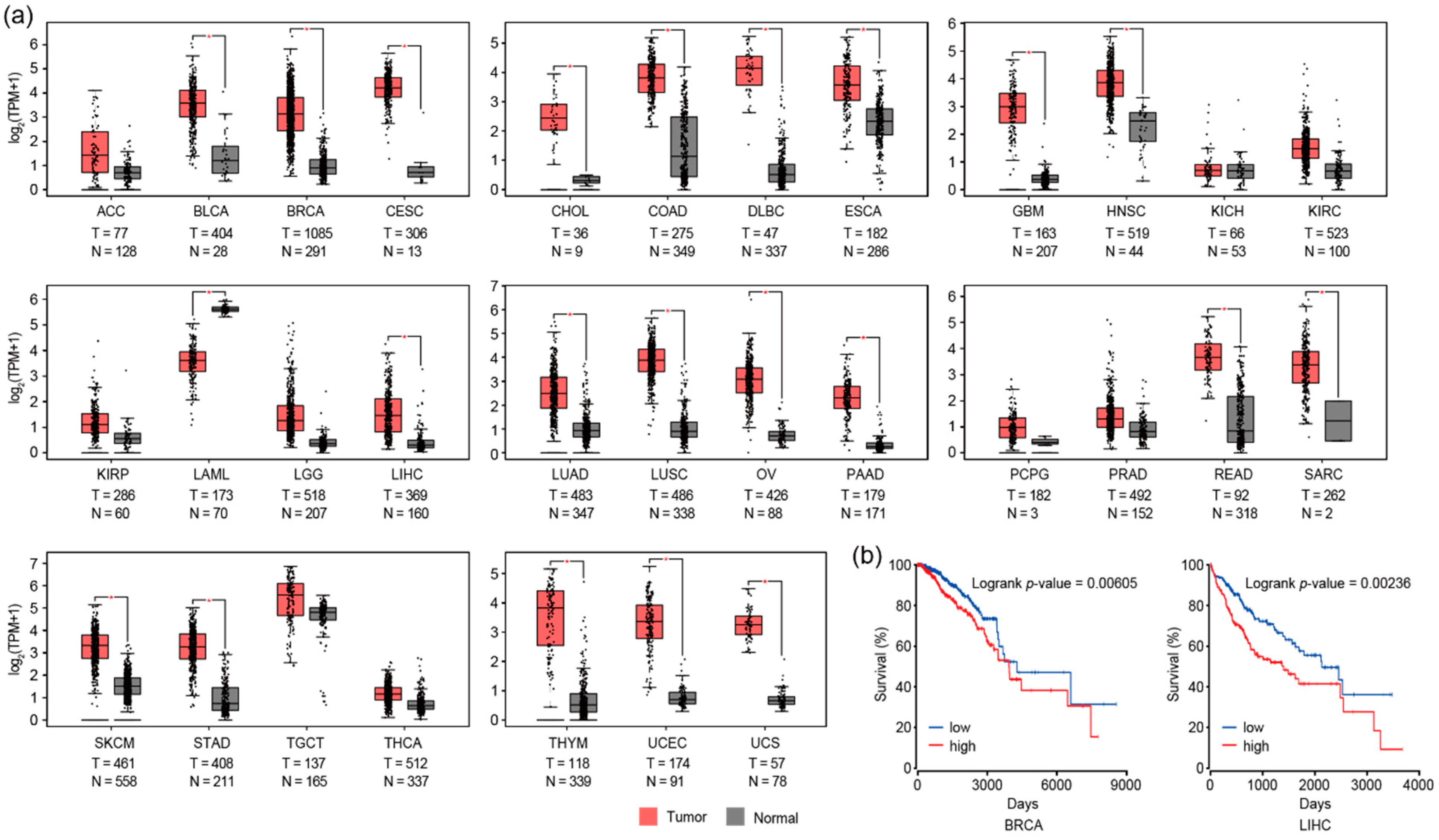 Cancers 13 02547 g004 Cancers 13 02547 g004