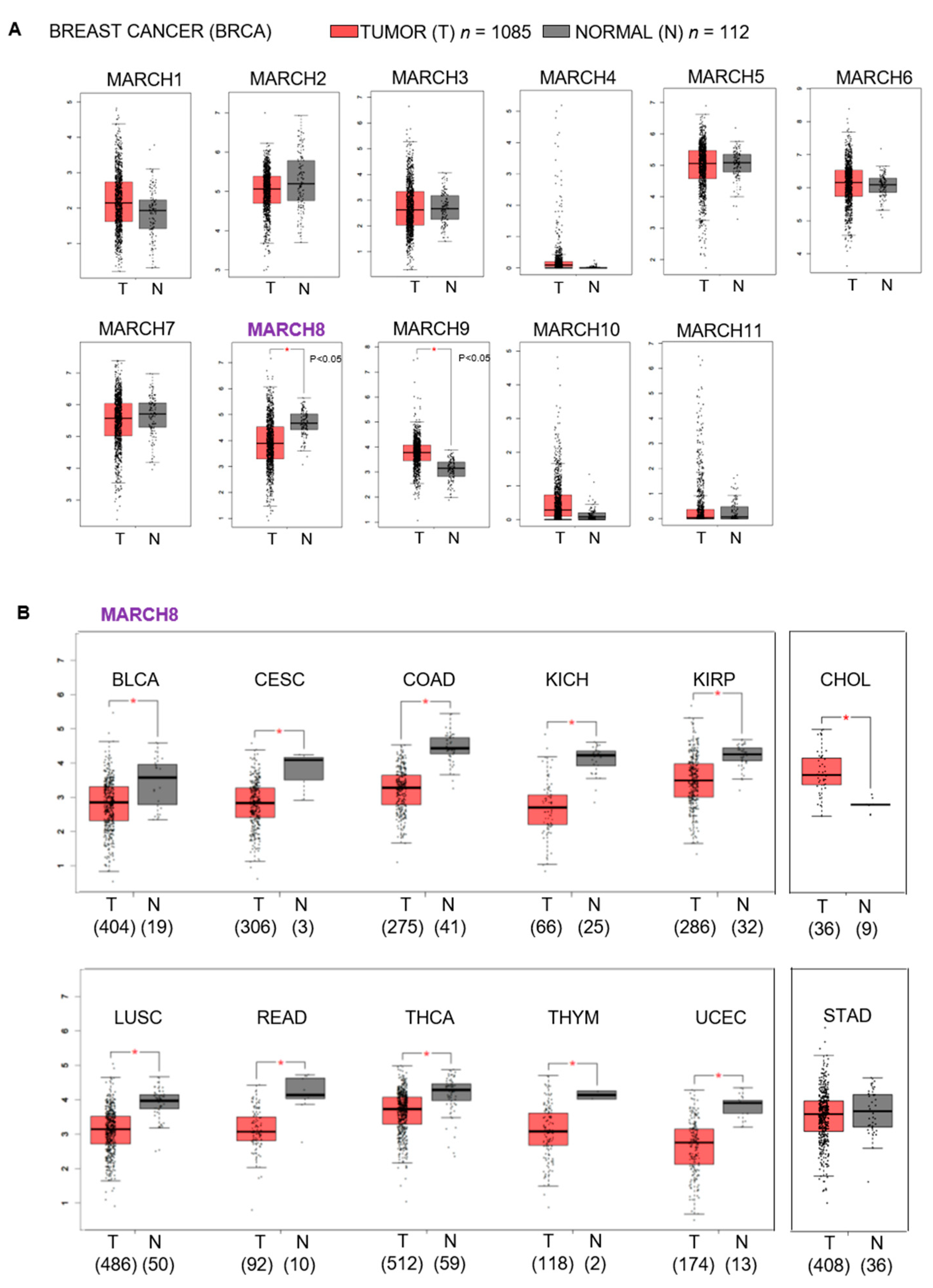 Cancers 13 02550 g001 Cancers 13 02550 g001