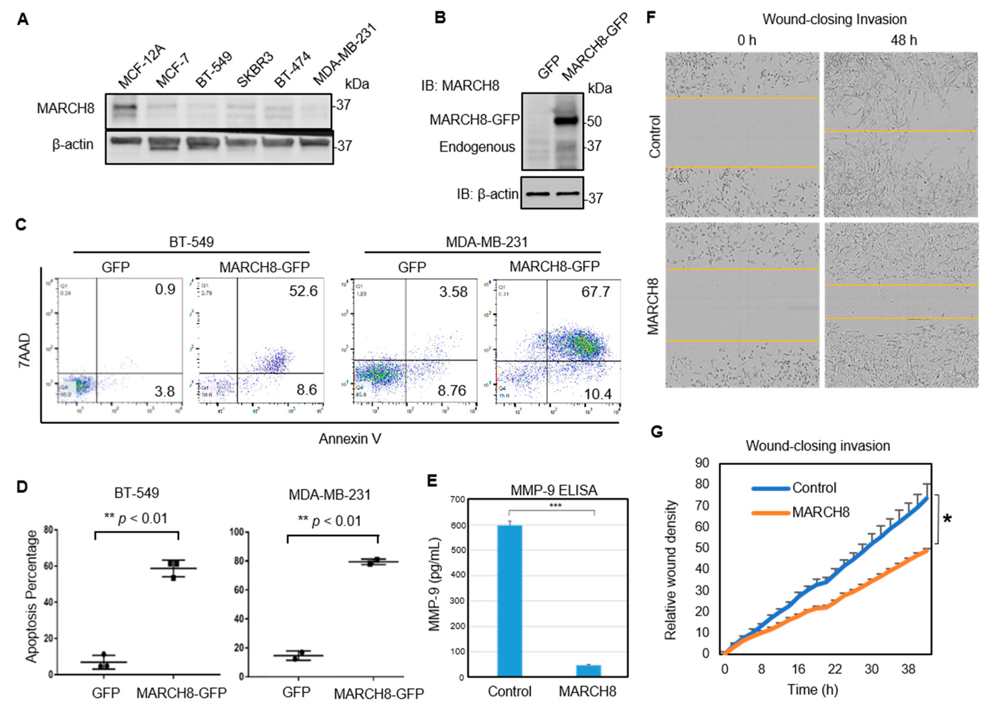 Cancers 13 02550 g003 Cancers 13 02550 g003