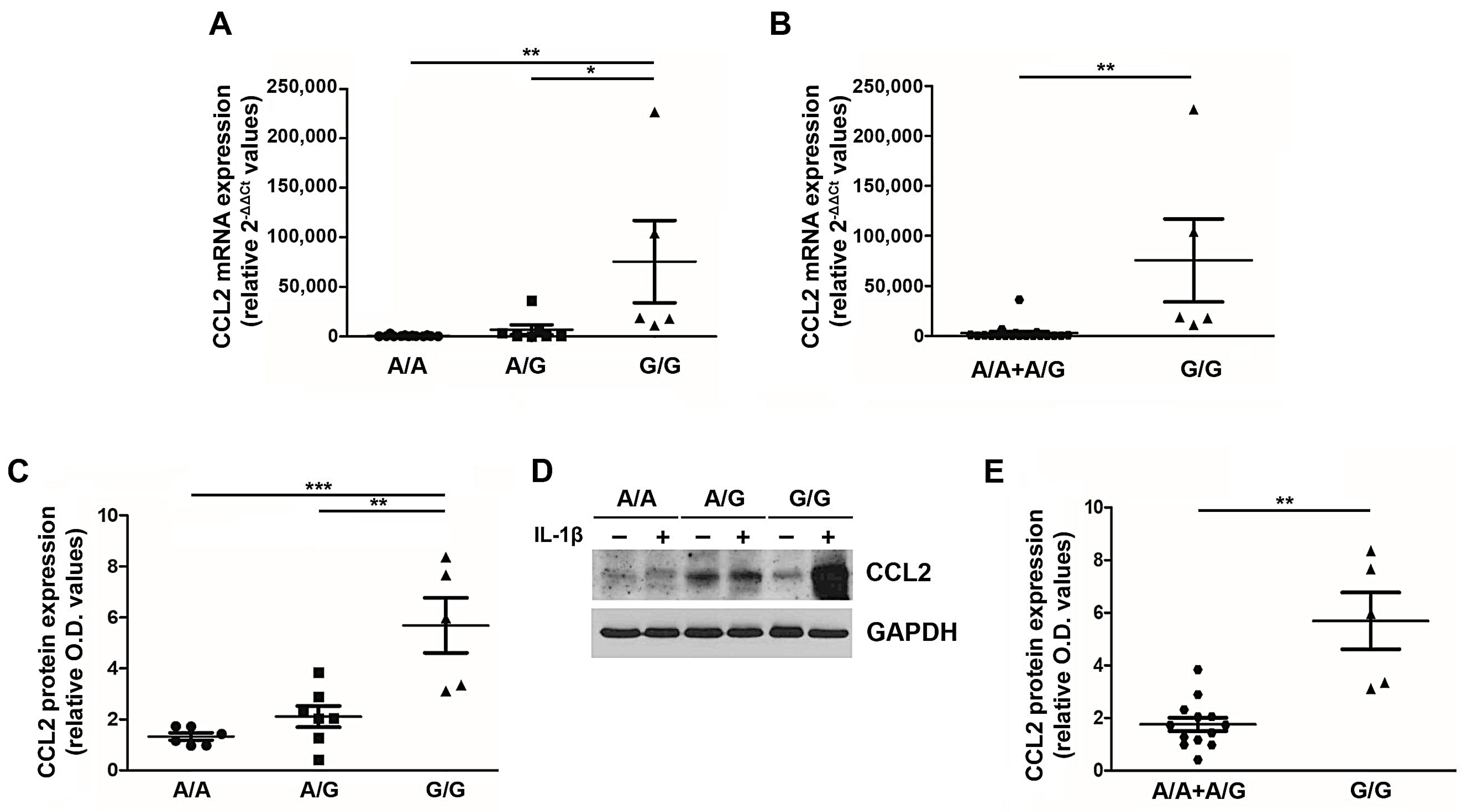 Cancers 13 02552 g002 Cancers 13 02552 g002