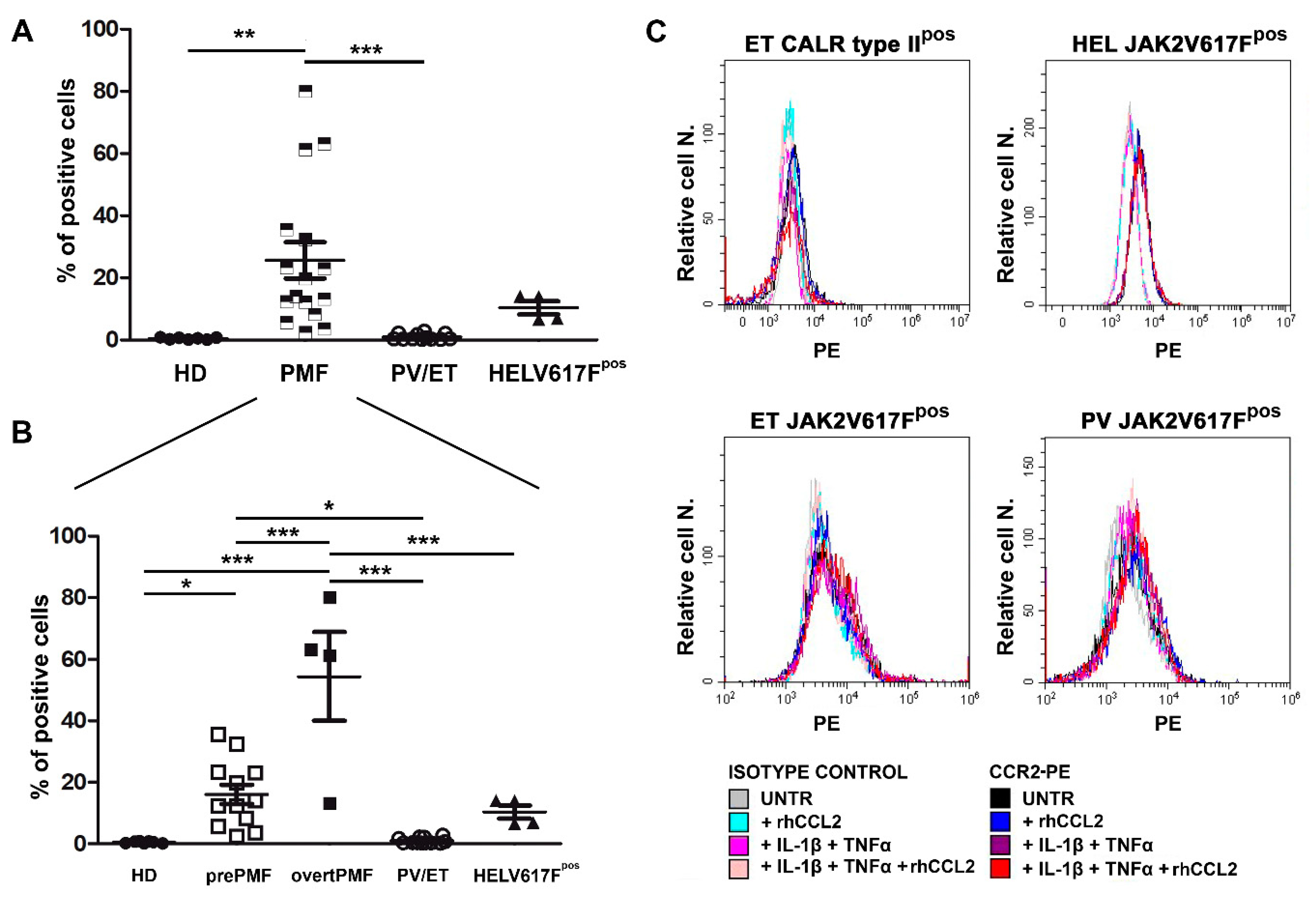 Cancers 13 02552 g003 Cancers 13 02552 g003