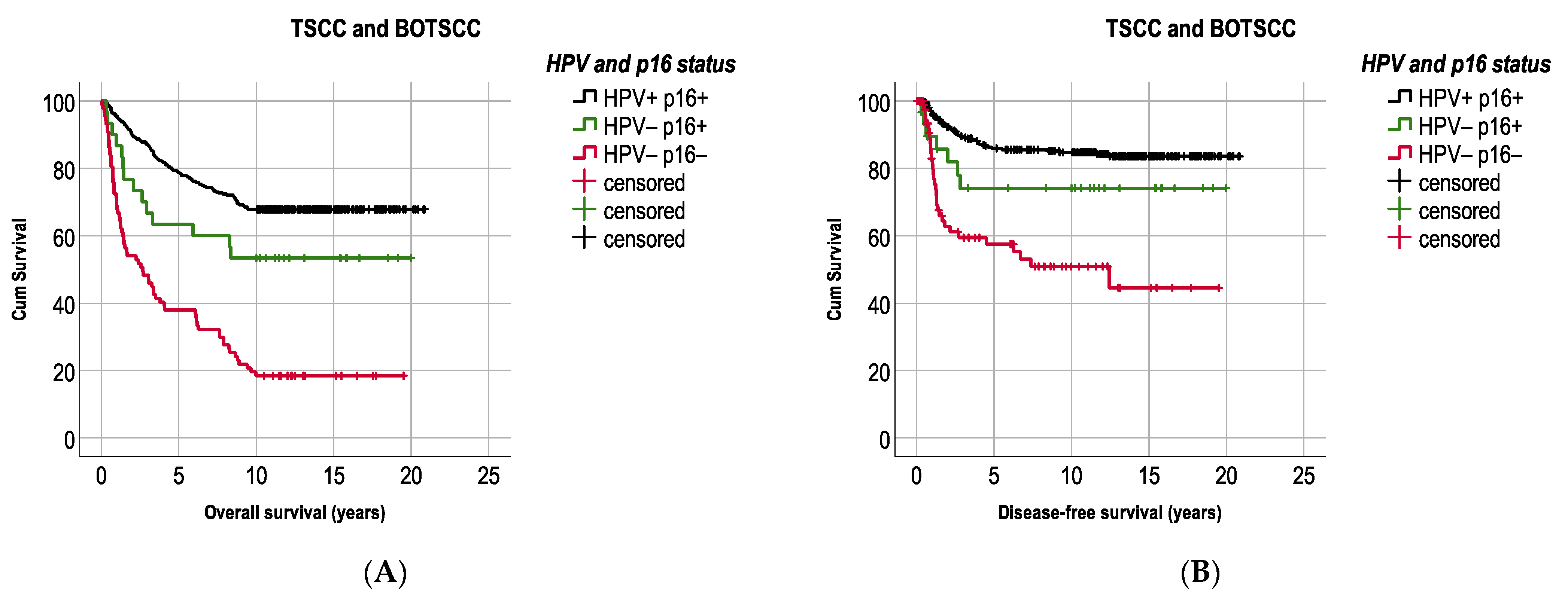 Cancers 13 02553 g004 Cancers 13 02553 g004