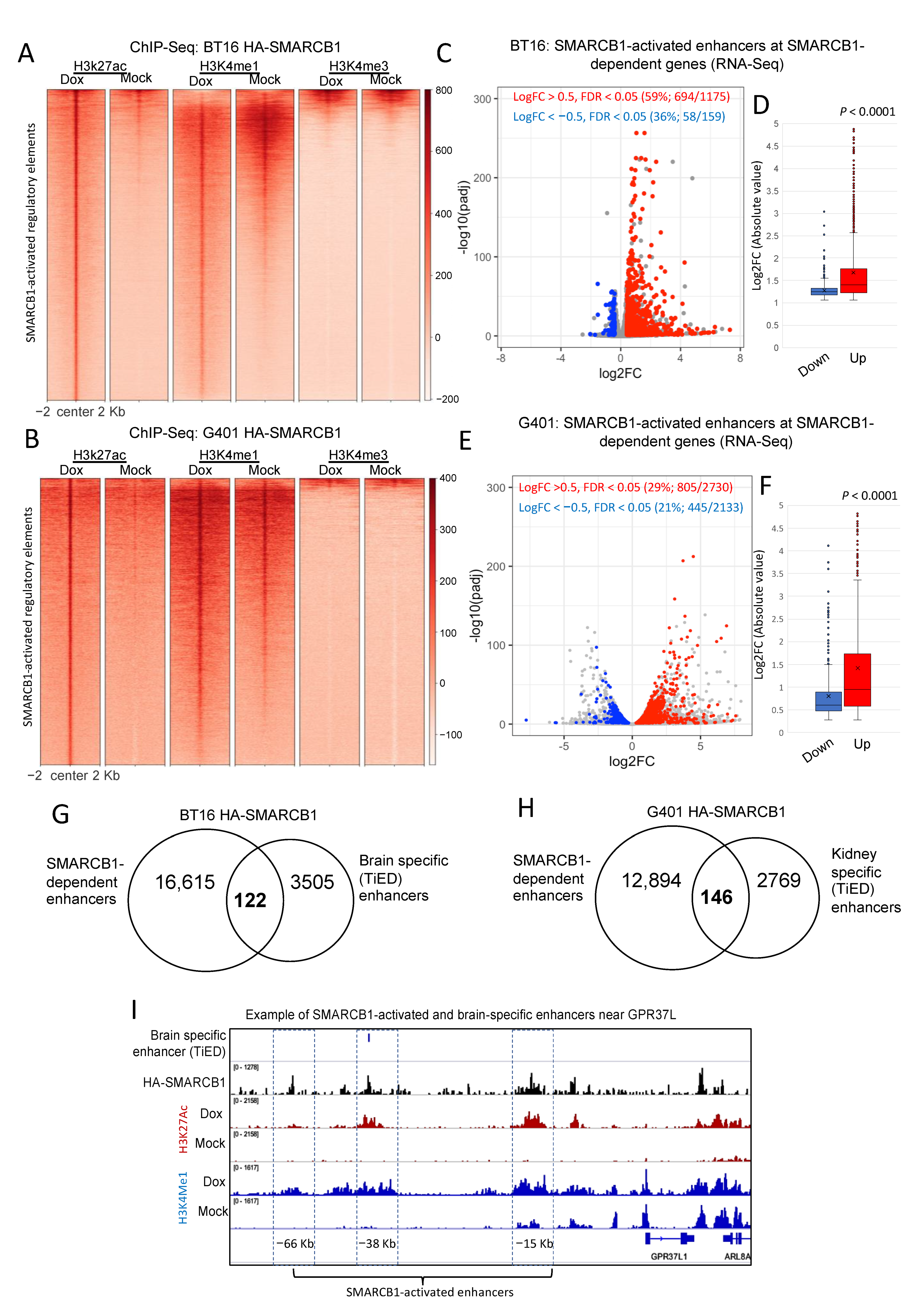 Cancers 13 02561 g002 Cancers 13 02561 g002