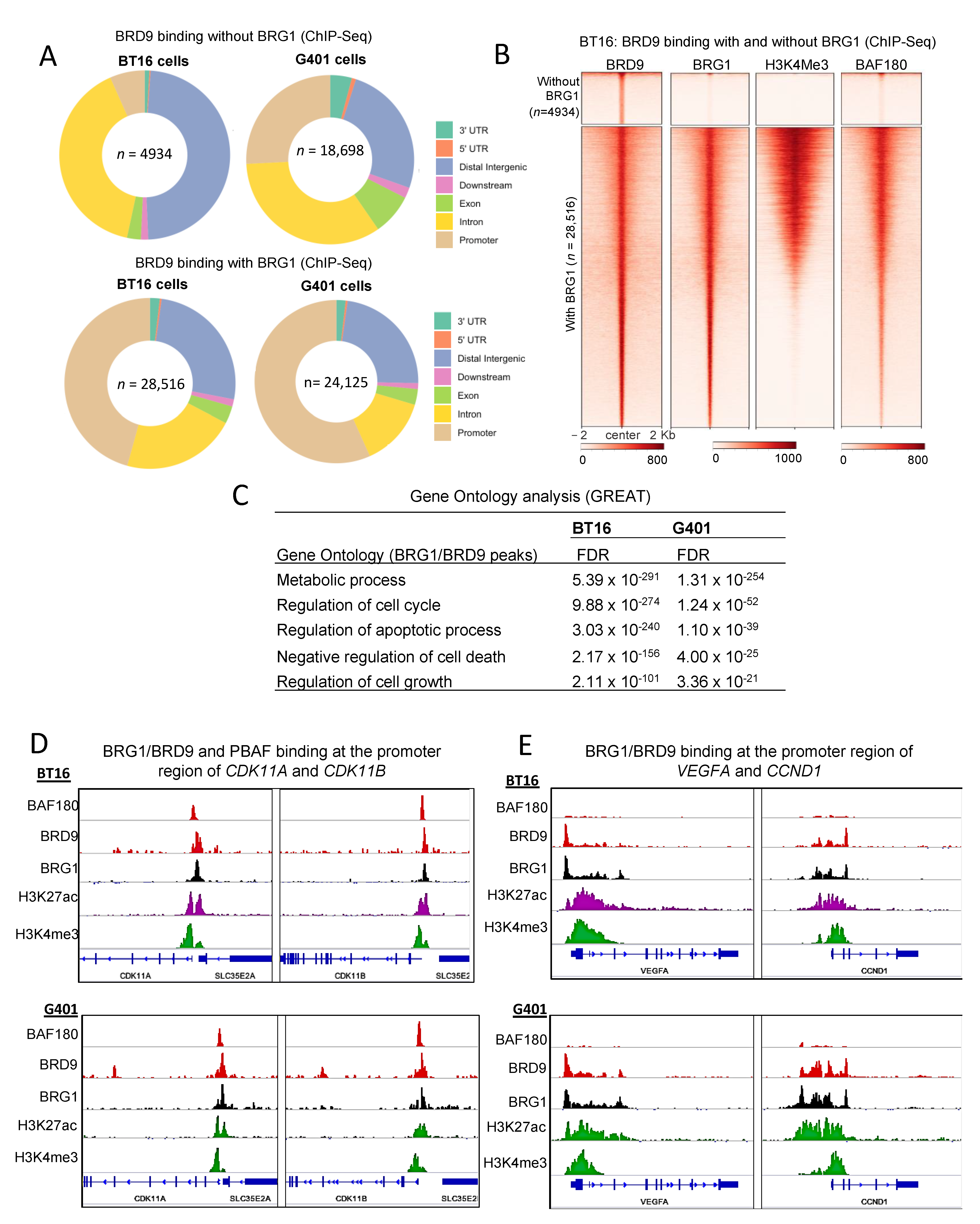 Cancers 13 02561 g004 Cancers 13 02561 g004