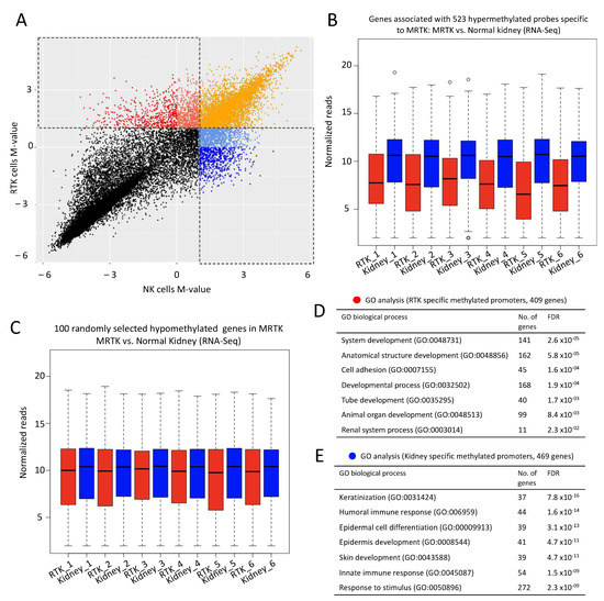 Cancers Free Full Text Global Chromatin Changes Resulting From Single Gene Inactivation The Role Of Smarcb1 In Malignant Rhabdoid Tumor Html