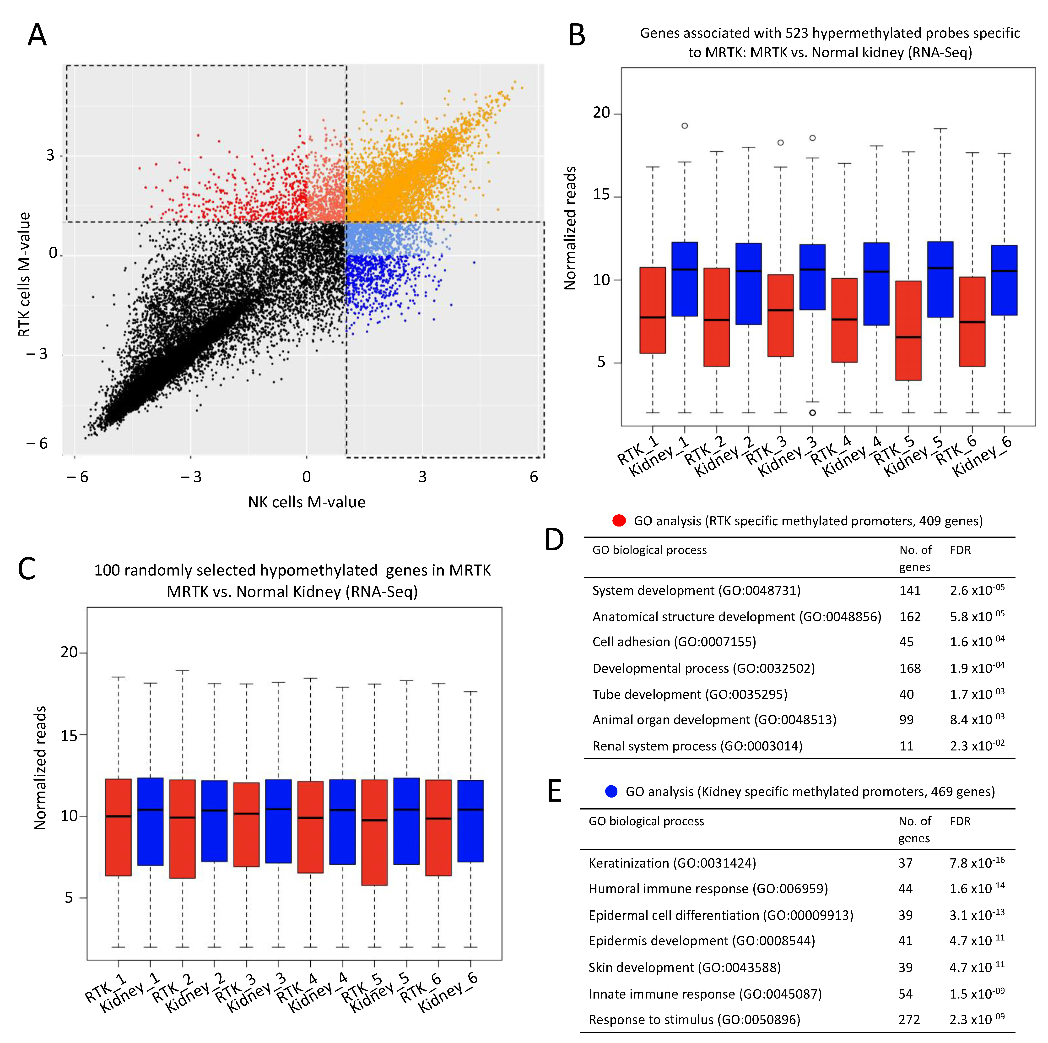 Cancers 13 02561 g005 Cancers 13 02561 g005