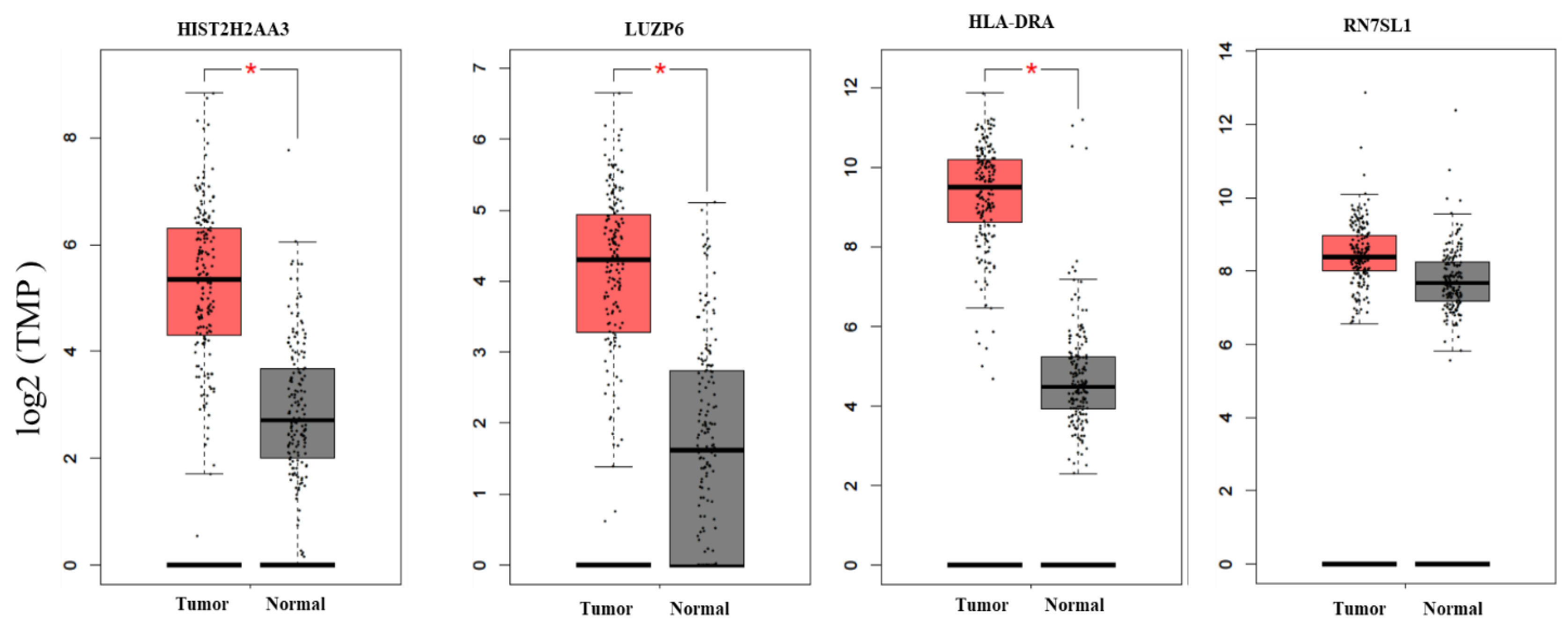 Cancers 13 02565 g003 Cancers 13 02565 g003