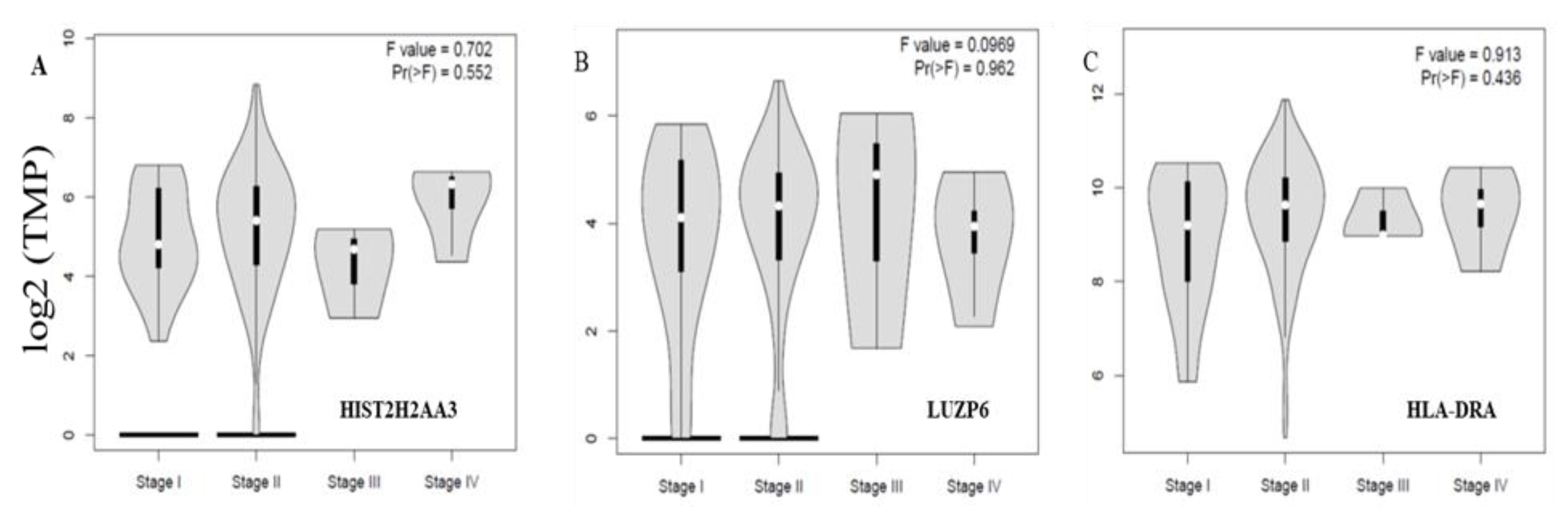Cancers 13 02565 g005 Cancers 13 02565 g005
