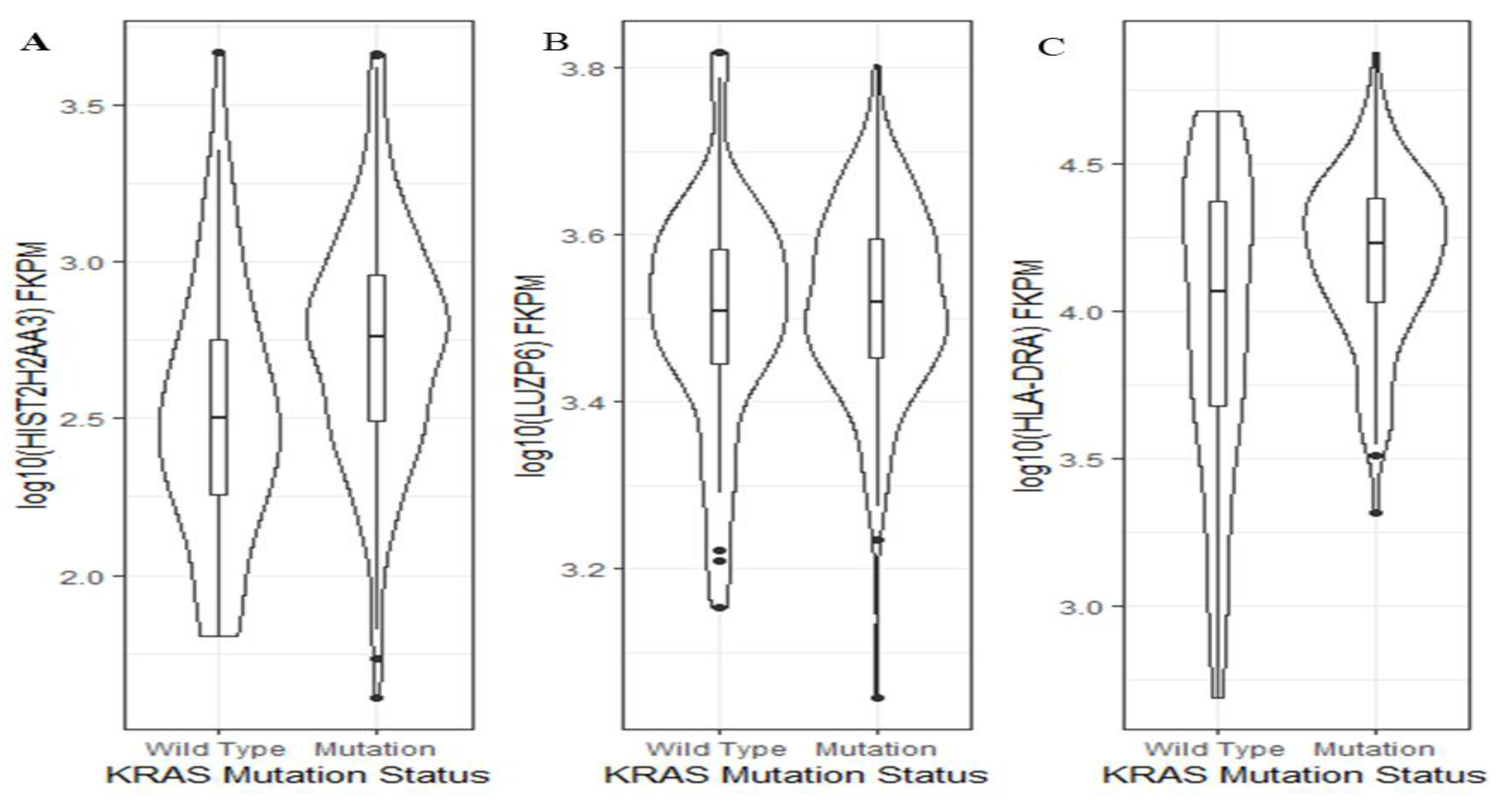 Cancers 13 02565 g006 Cancers 13 02565 g006