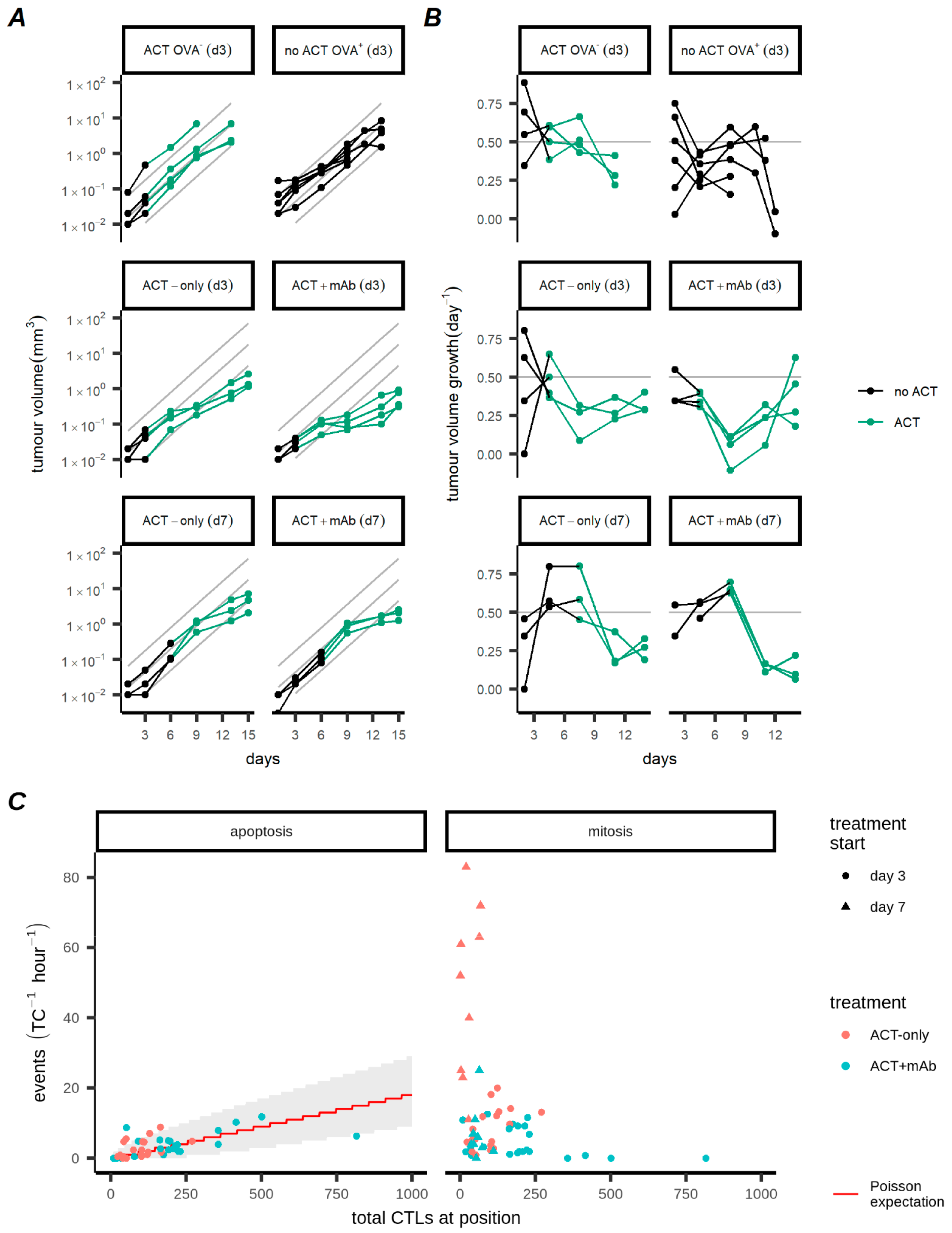 Cancers Free Full Text Mathematical Modelling Based On In Vivo Imaging Suggests Cd137 Stimulated Cytotoxic T Lymphocytes Exert Superior Tumour Control Due To An Enhanced Antimitotic Effect On Tumour Cells Html Cancers Free Full Text Mathematical Modelling Based On In Vivo Imaging Suggests Cd137 Stimulated Cytotoxic T Lymphocytes Exert Superior Tumour Control Due To An Enhanced Antimitotic Effect On Tumour Cells Html