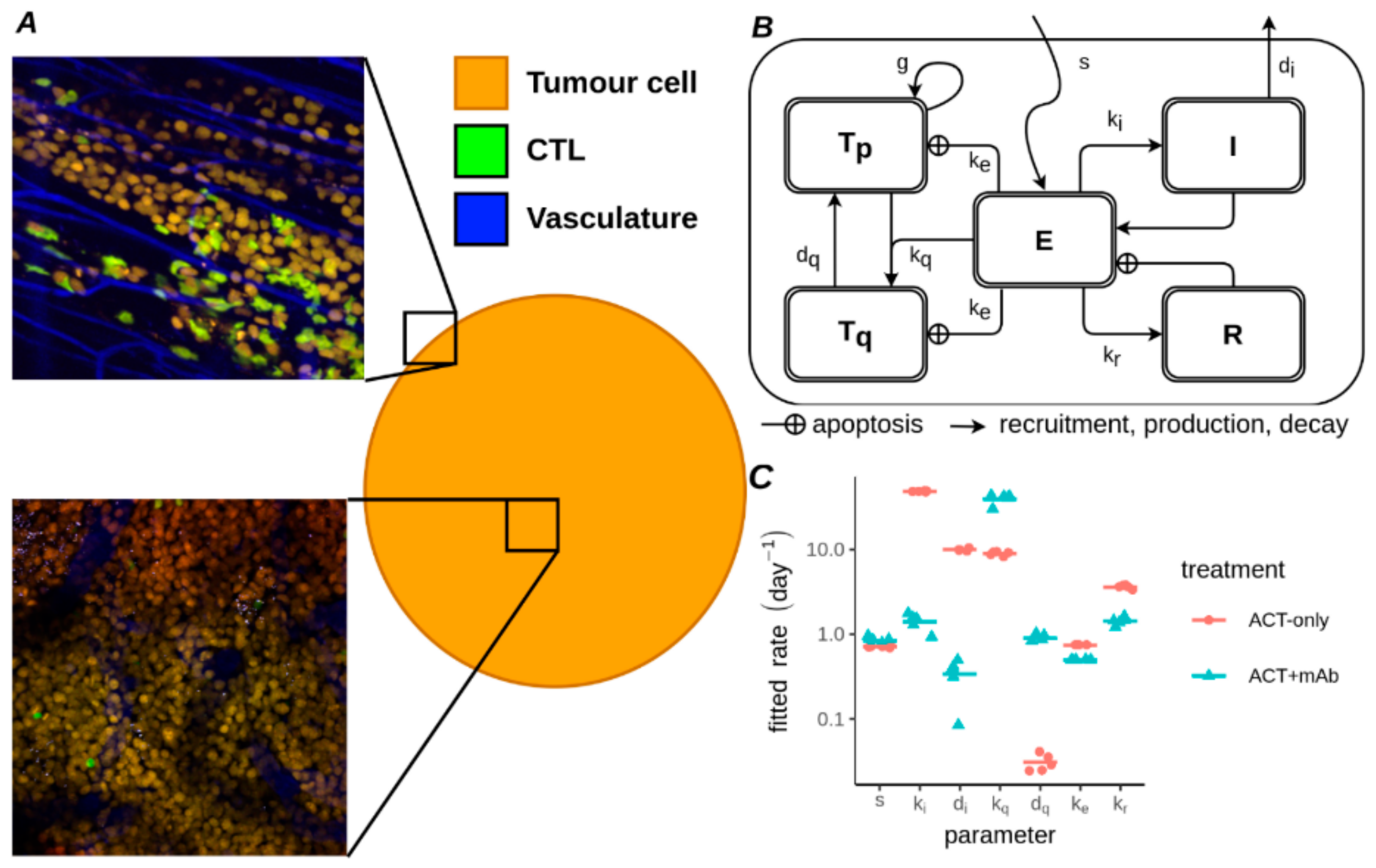 Cancers 13 02567 g003 Cancers 13 02567 g003