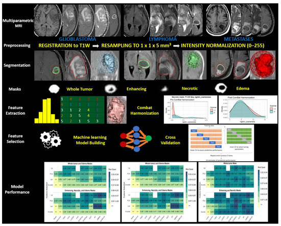 Cancers | Free Full-Text | Radiomic Based Machine Learning Performance ...