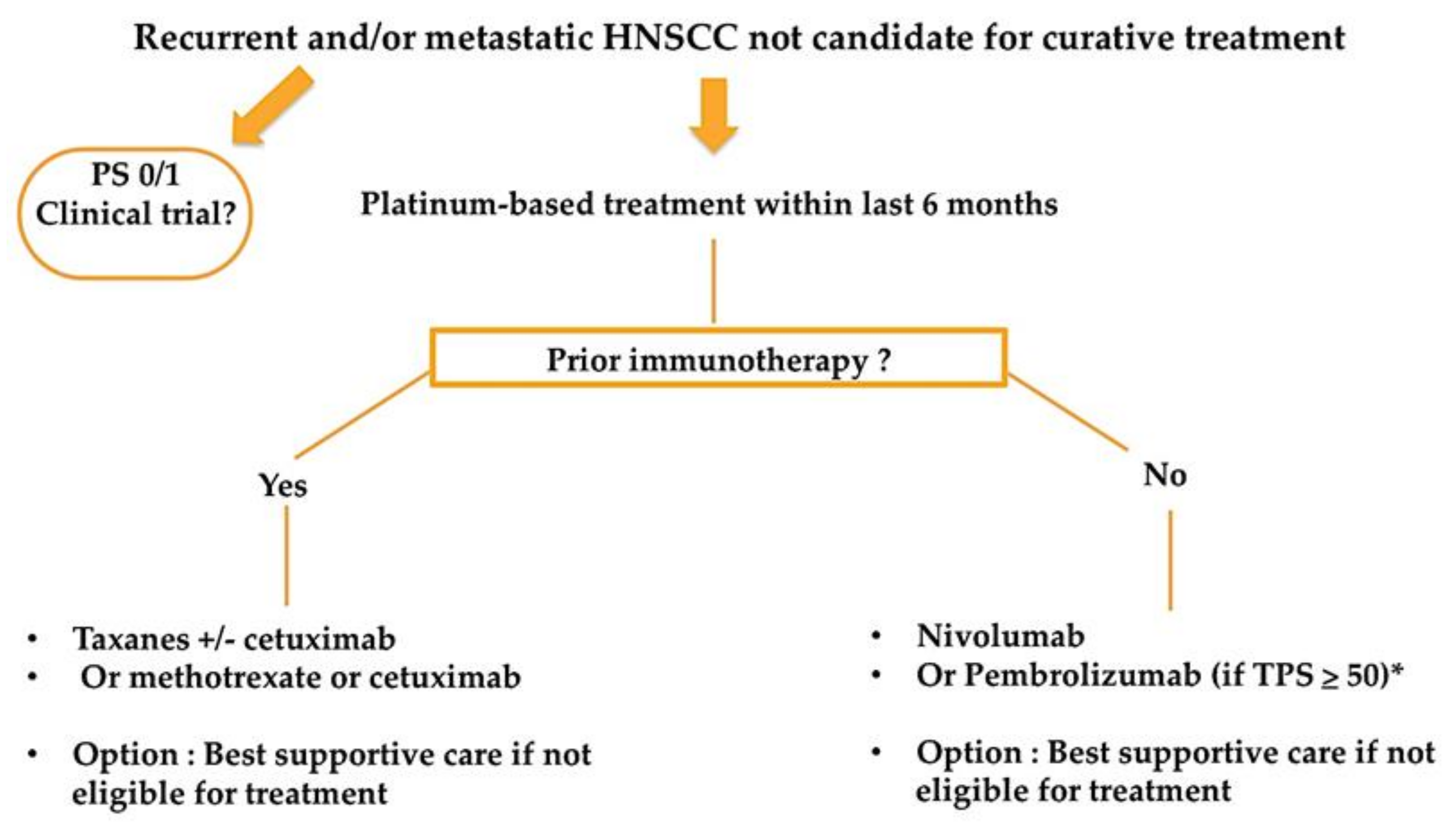 Cancers 13 02573 g002 Cancers 13 02573 g002